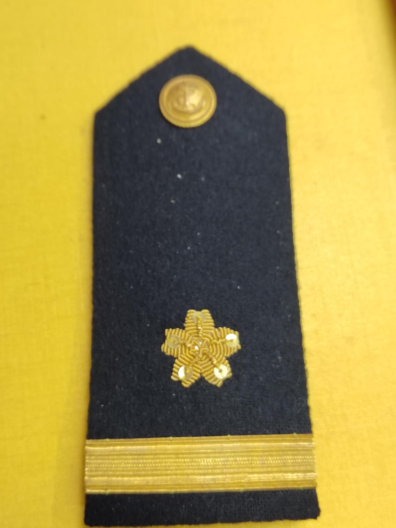 PCAI钱币  17-716  纪念章证章杂項专场 肩章一副