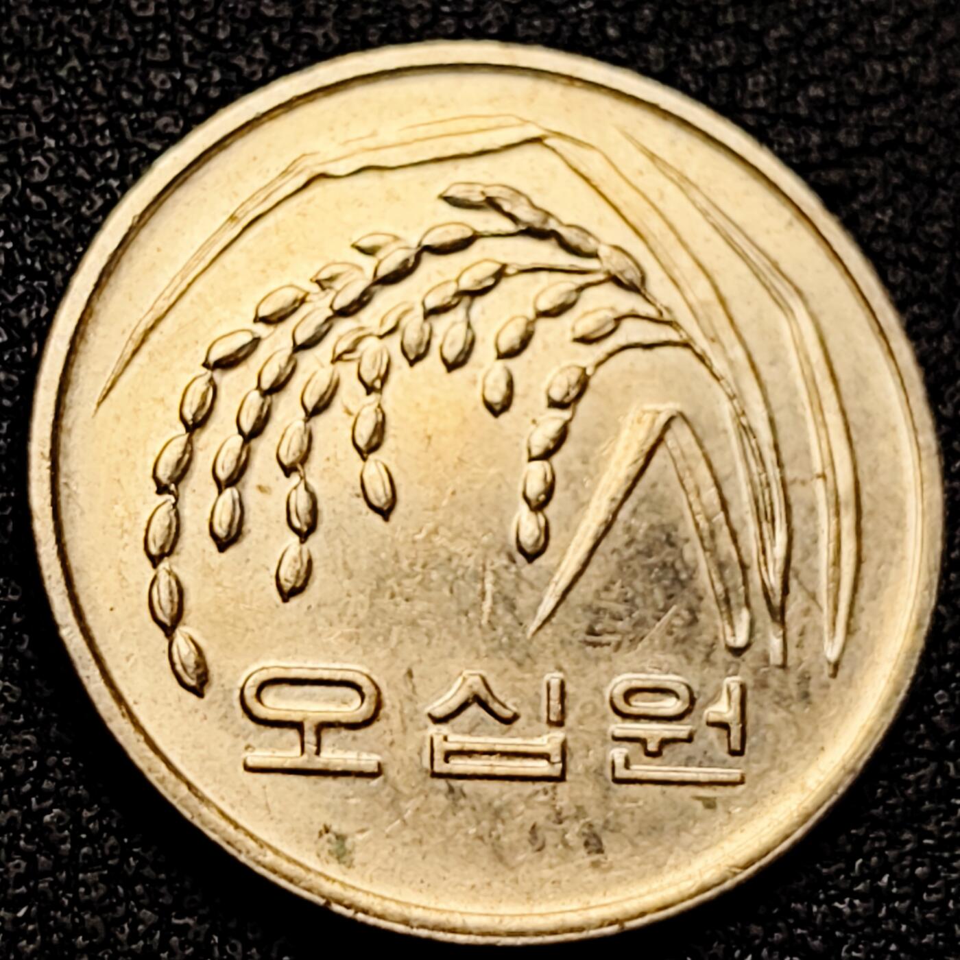 泉币菌-第171场- 精品福利场 。