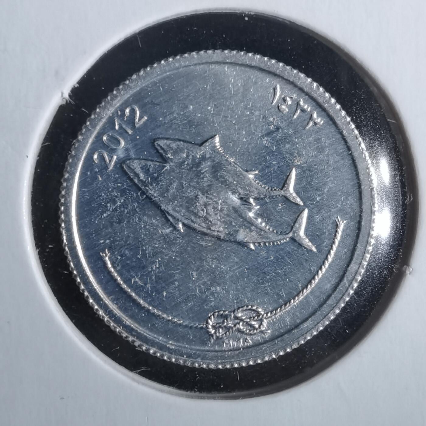 沼泽如烟--第963场 马尔代夫2012年5拉雷