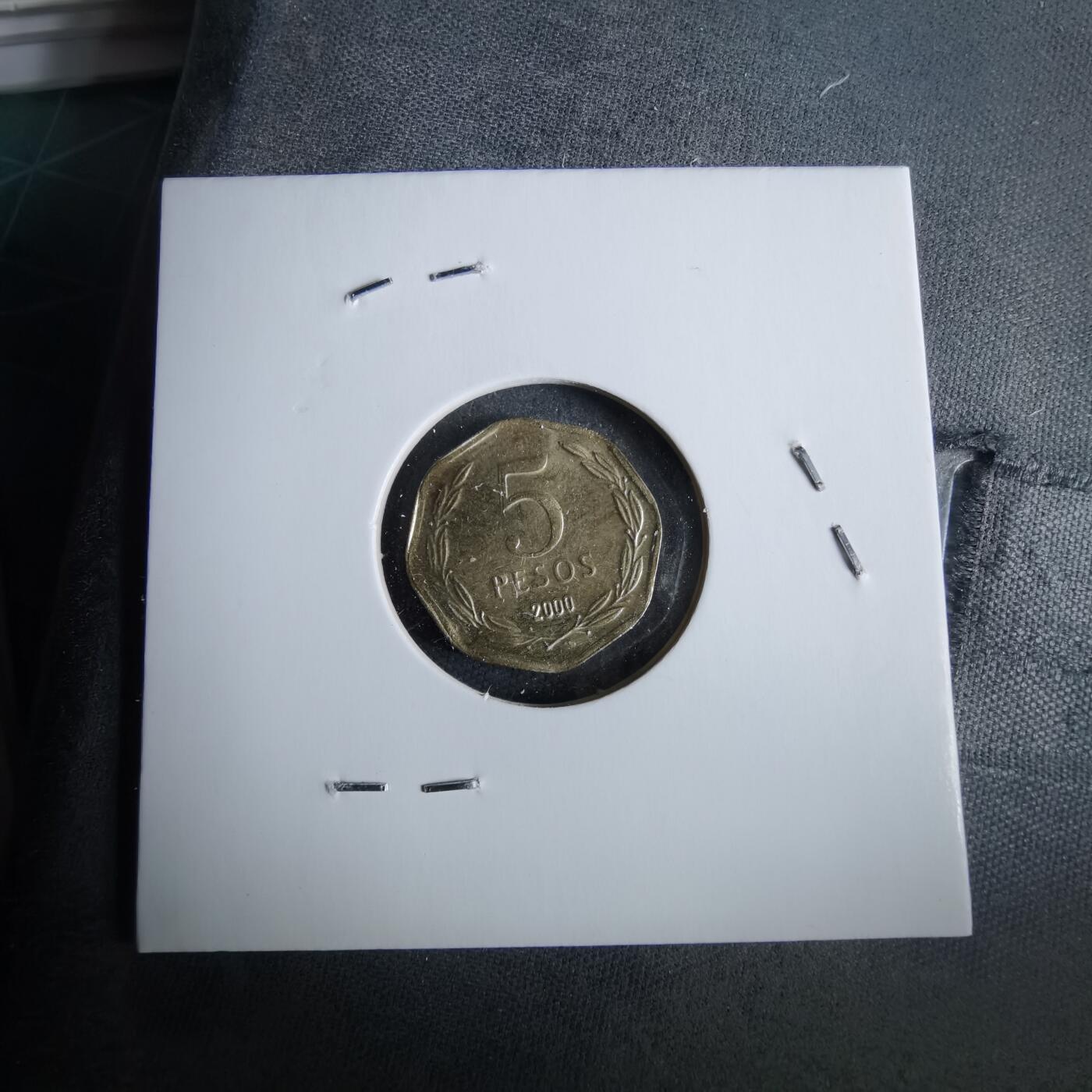 沼泽如烟--第963场