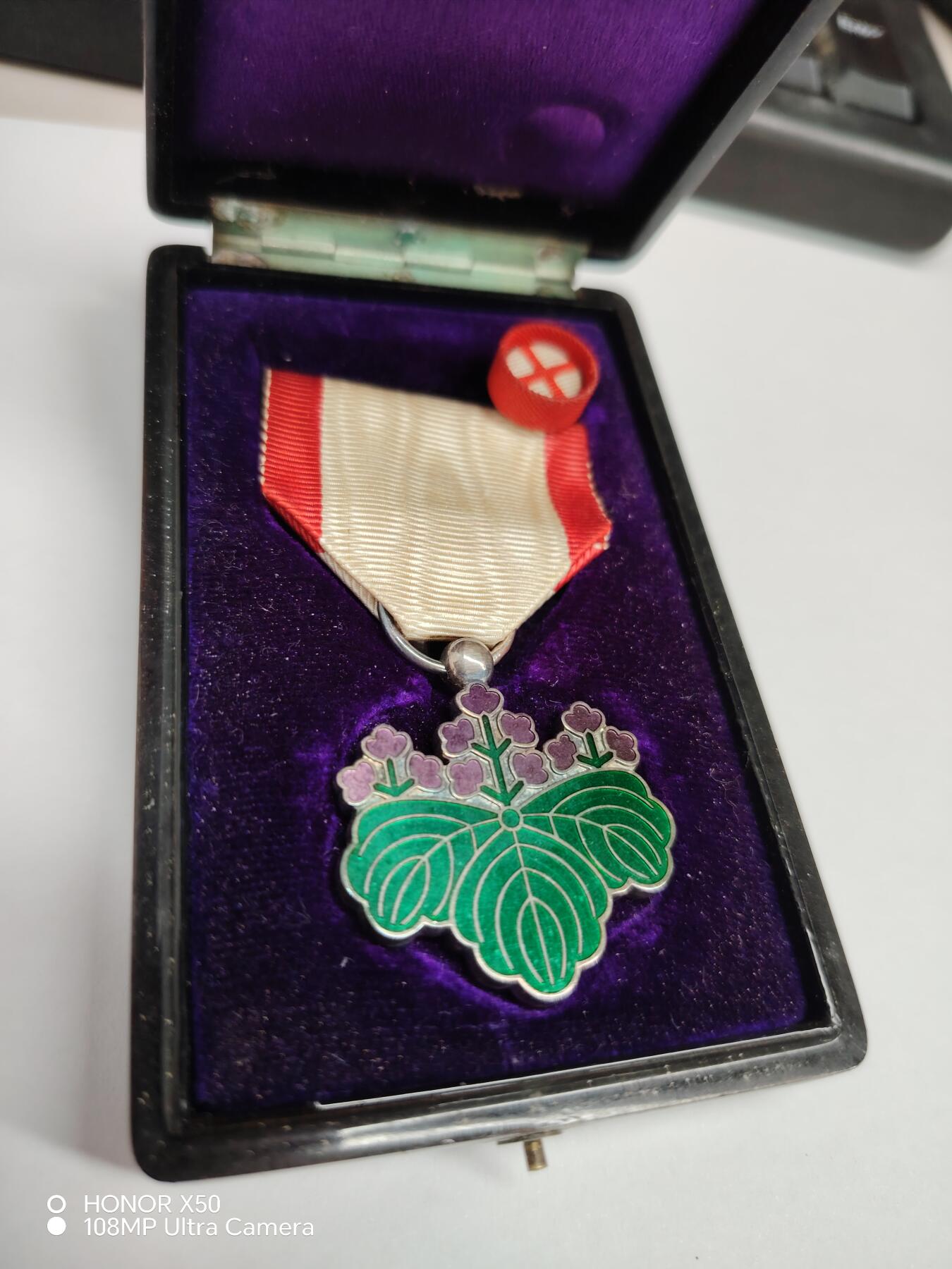 城南花开💐85场