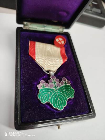 城南花开💐85场 - 青叶子带盒略