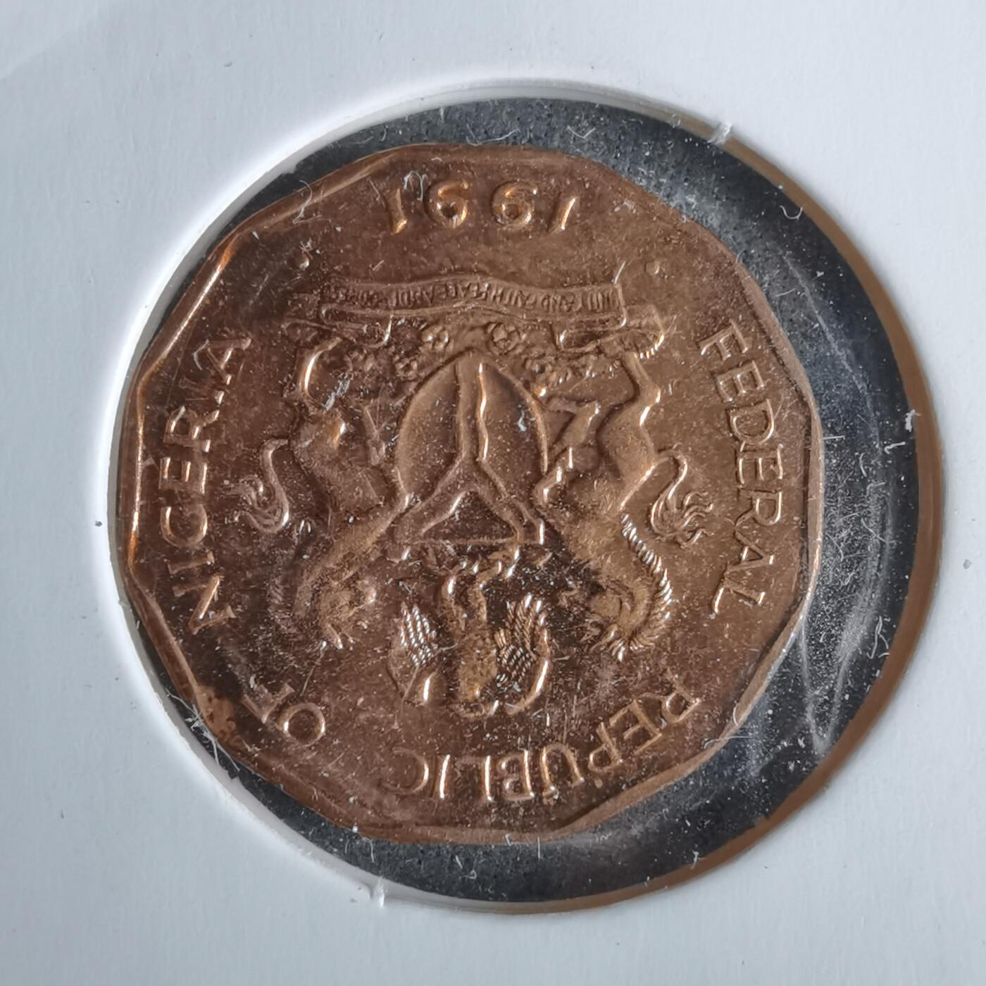 沼泽如烟--第963场