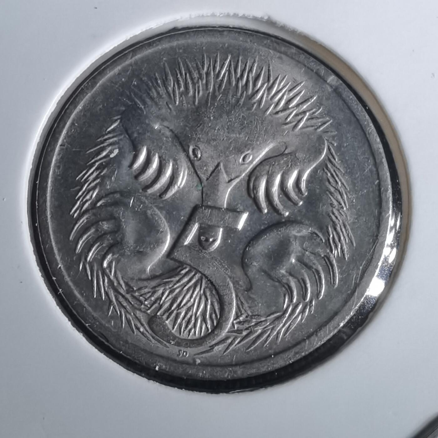 沼泽如烟--第965场