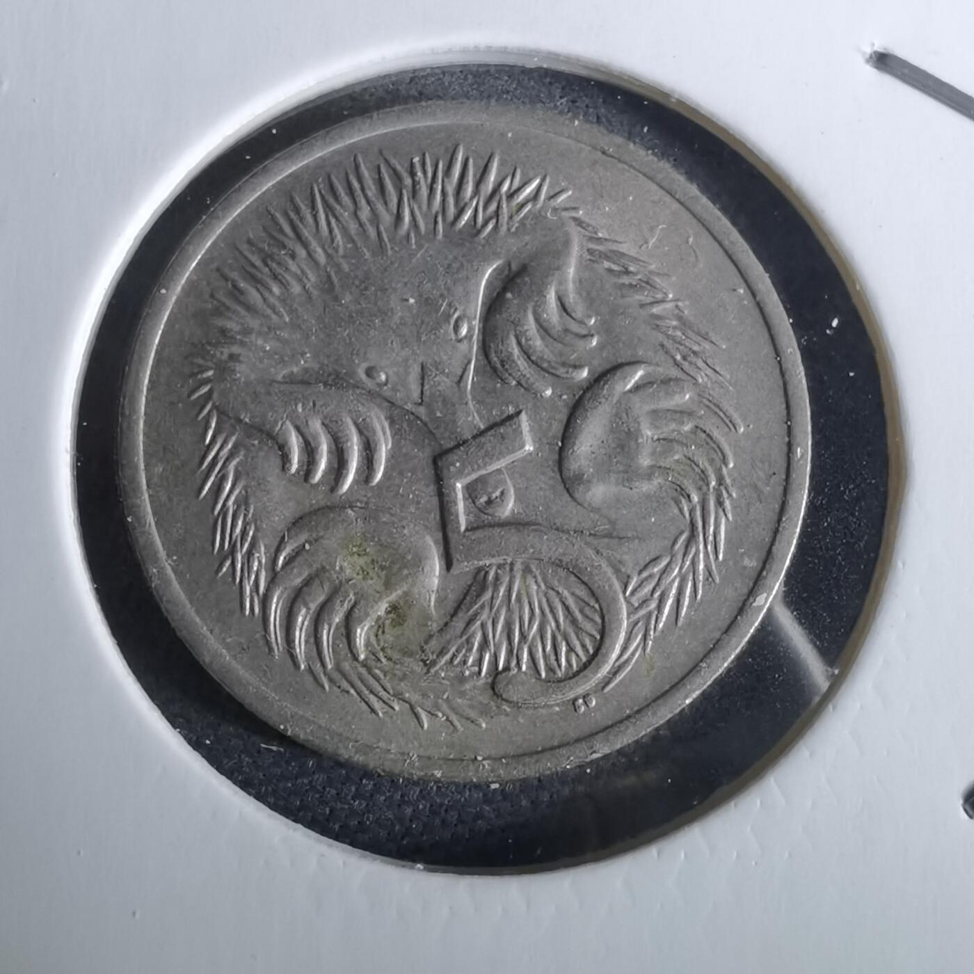 沼泽如烟--第965场