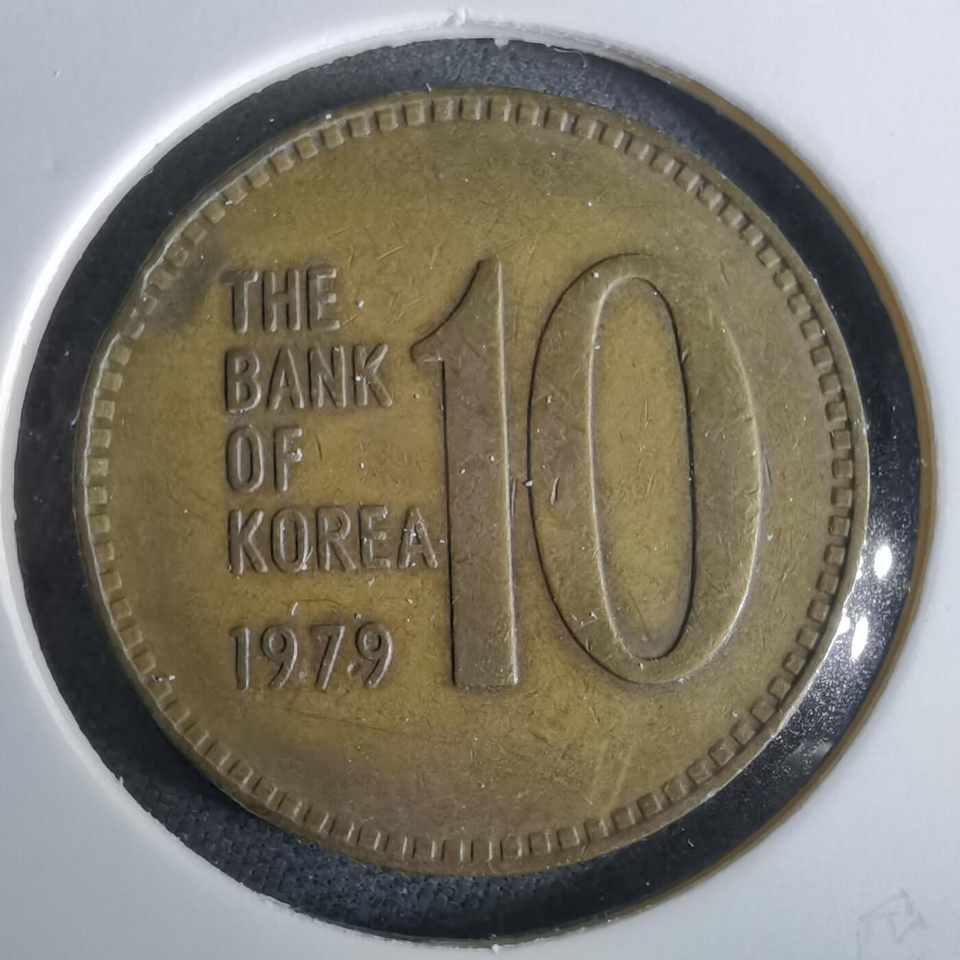 沼泽如烟--第965场