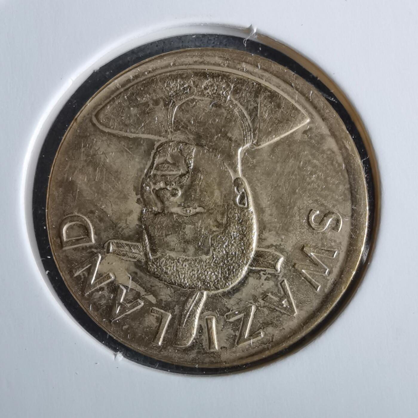 沼泽如烟--第963场