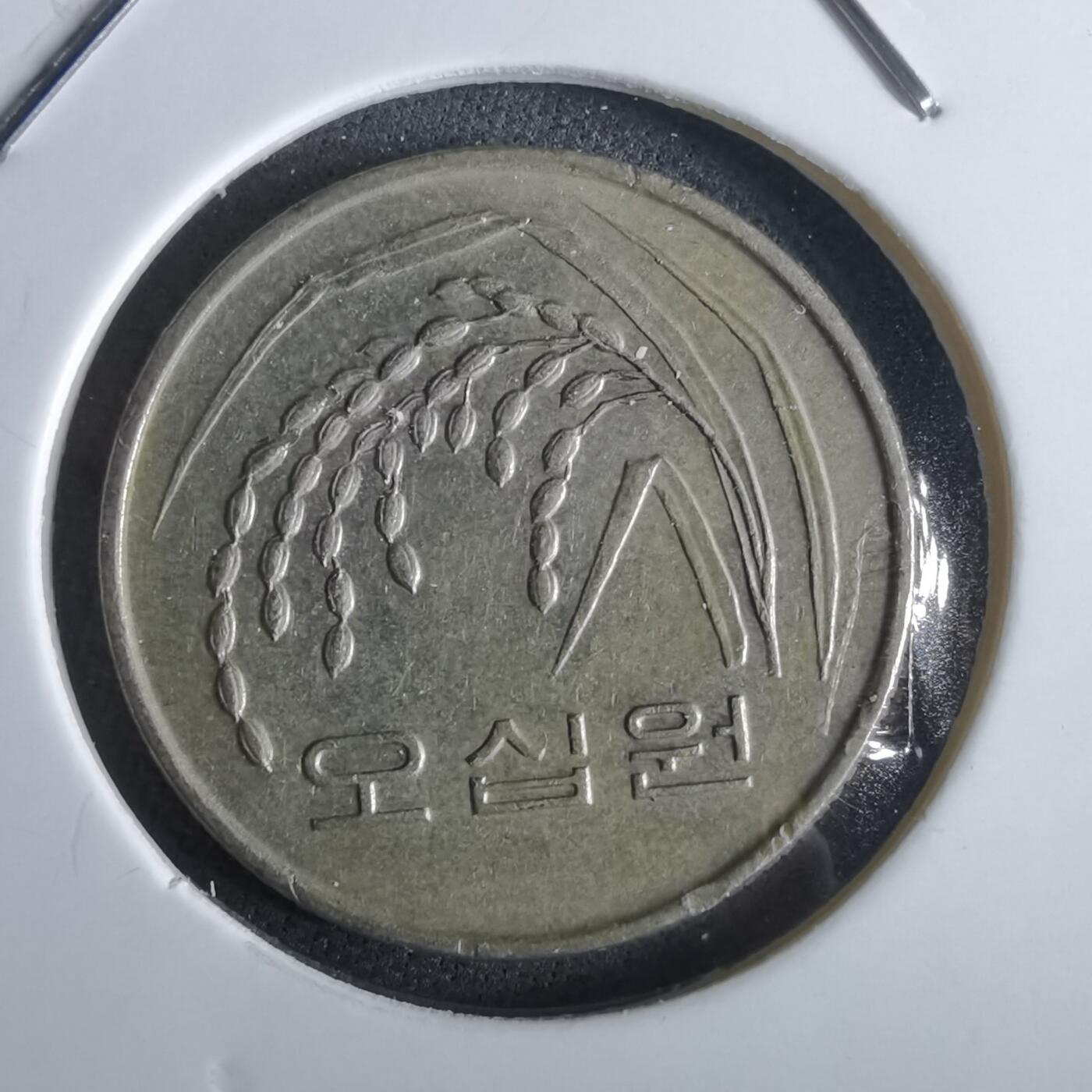 沼泽如烟--第965场