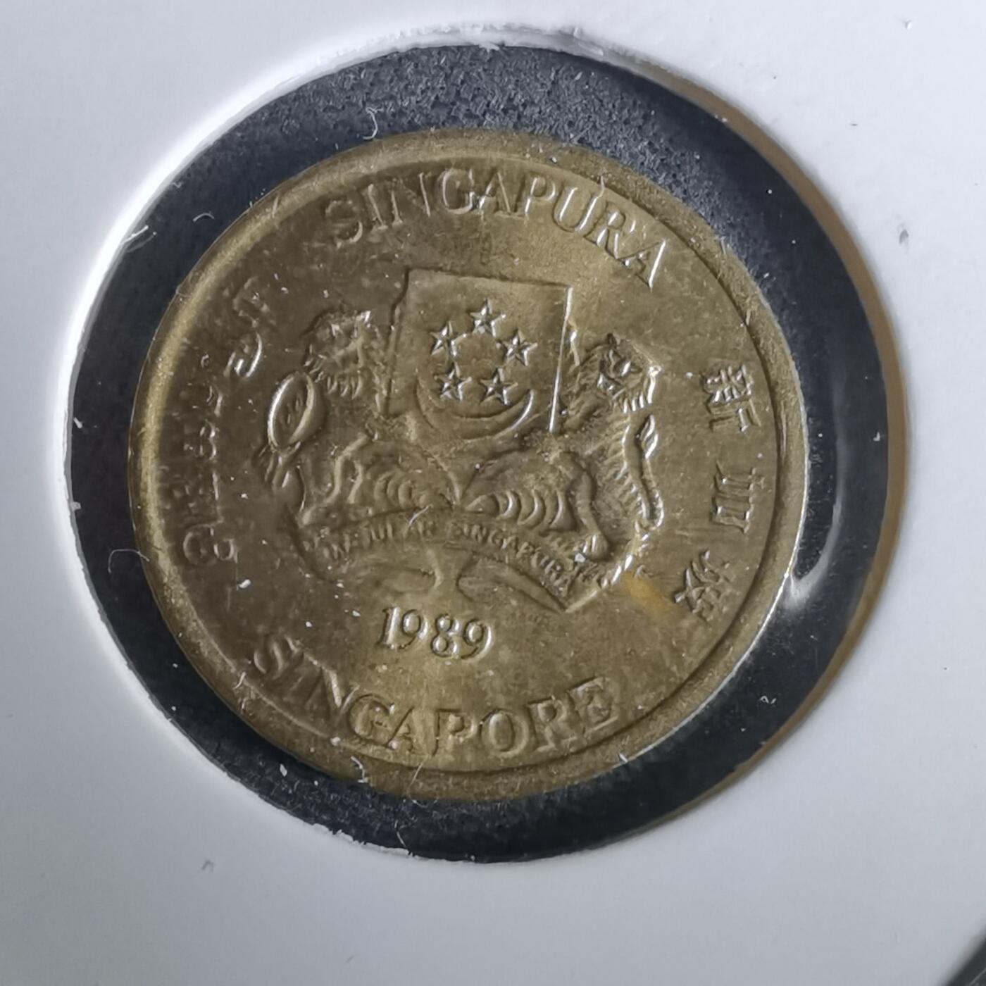 沼泽如烟--第965场