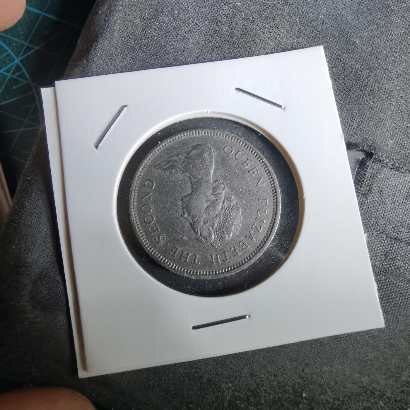 沼泽如烟--第965场