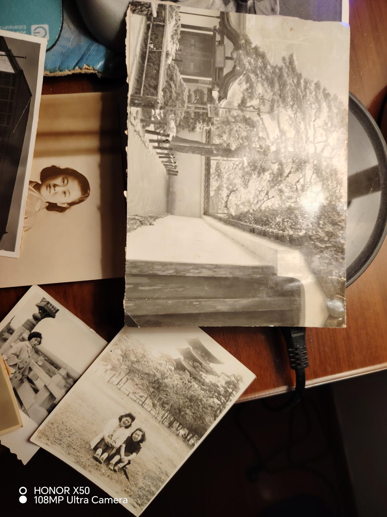 城南花开💐85场 照片一堆