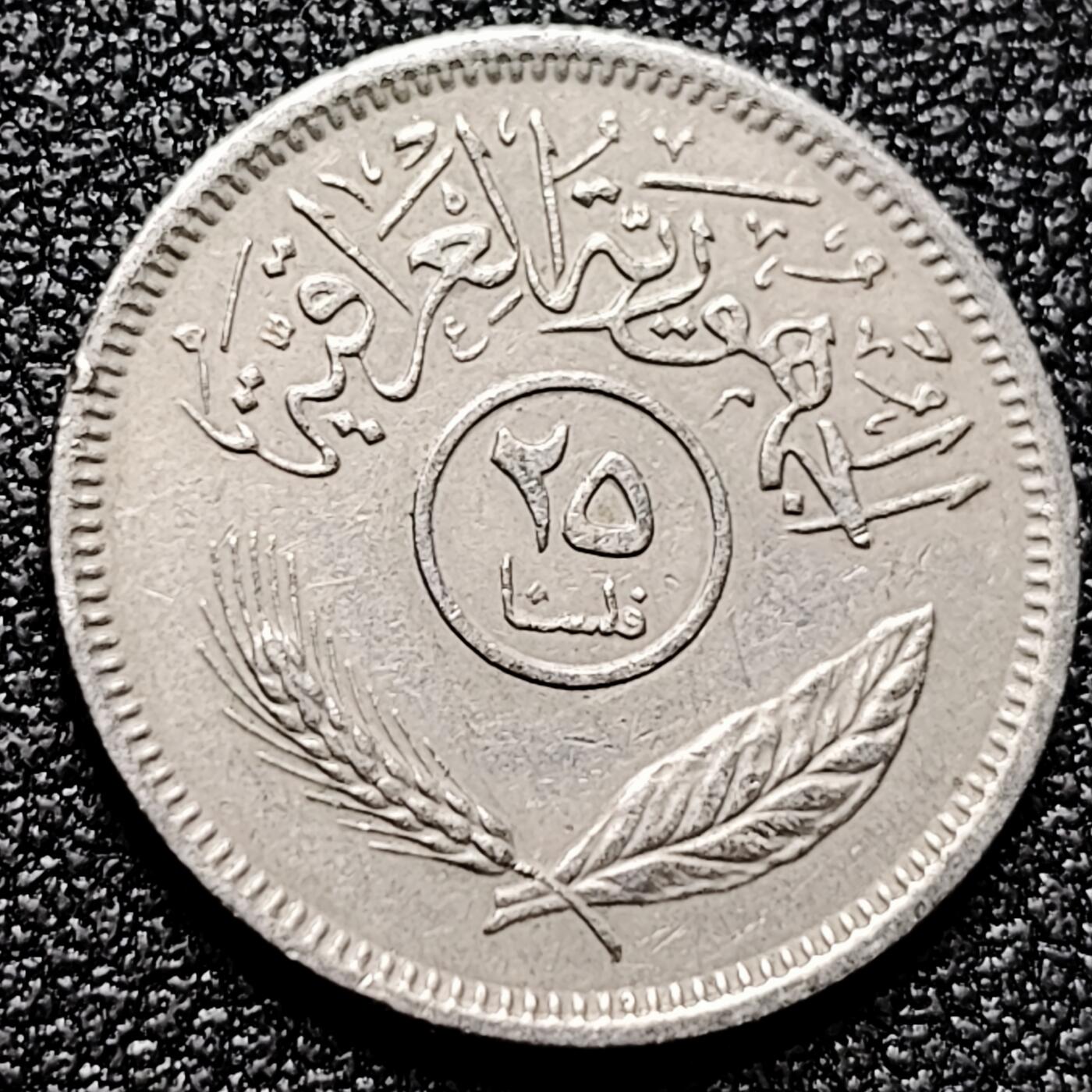 泉币菌-第171场- 精品福利场 。