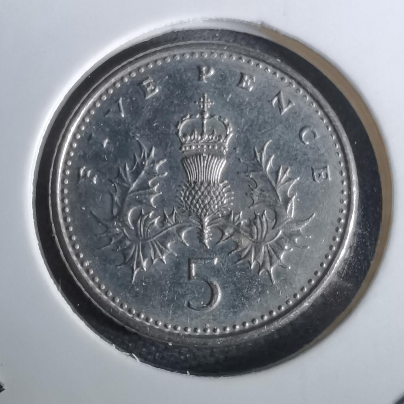 沼泽如烟--第965场