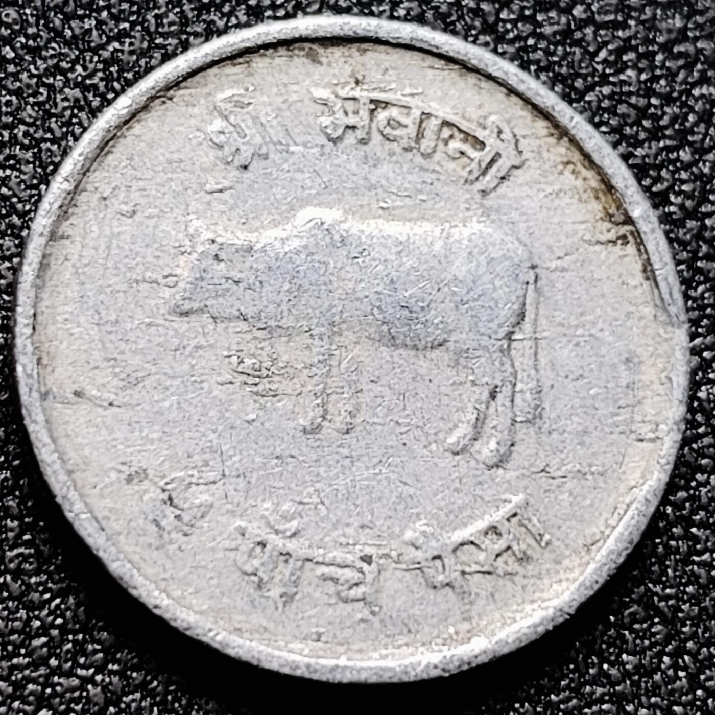 泉币菌-第171场- 精品福利场 。