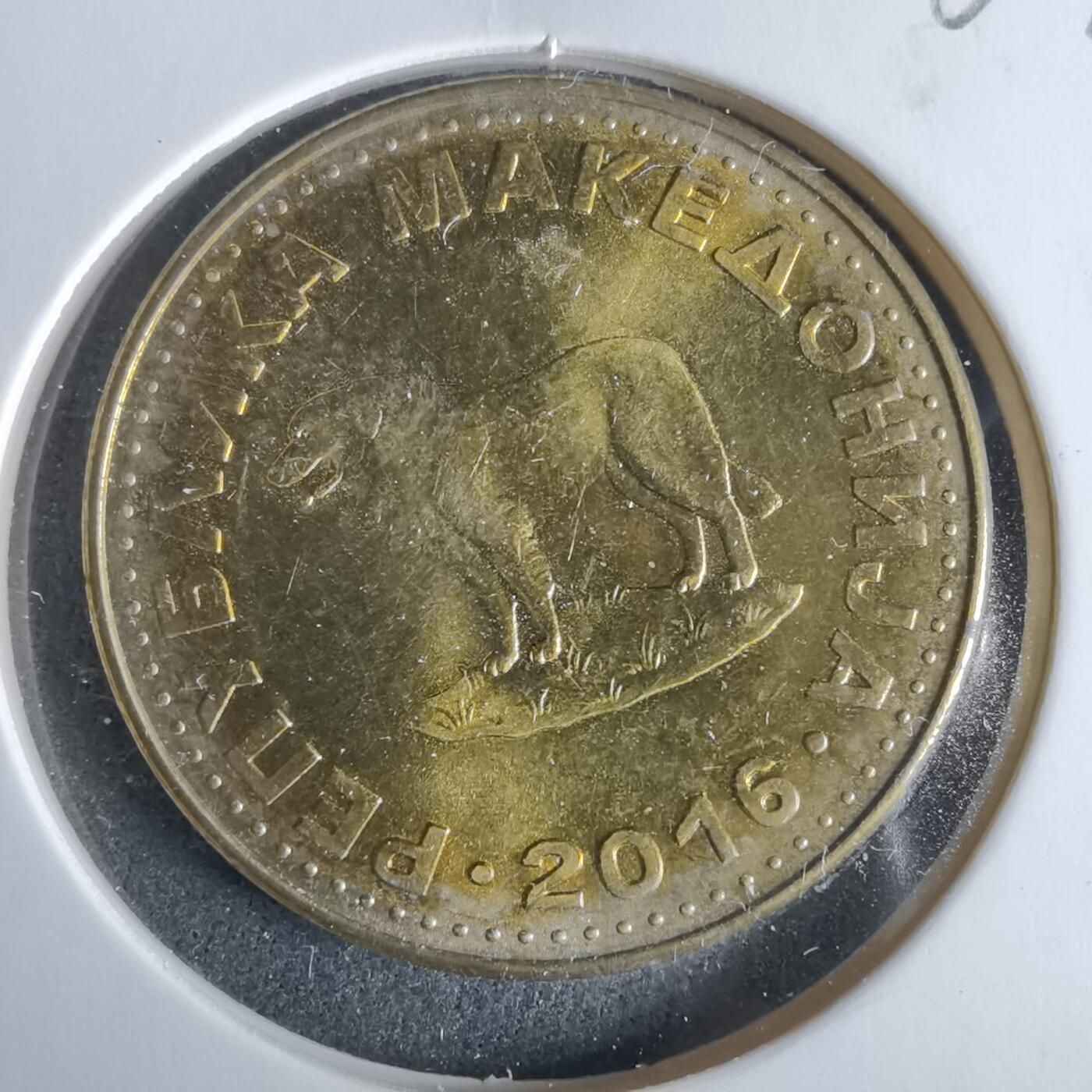 沼泽如烟--第963场