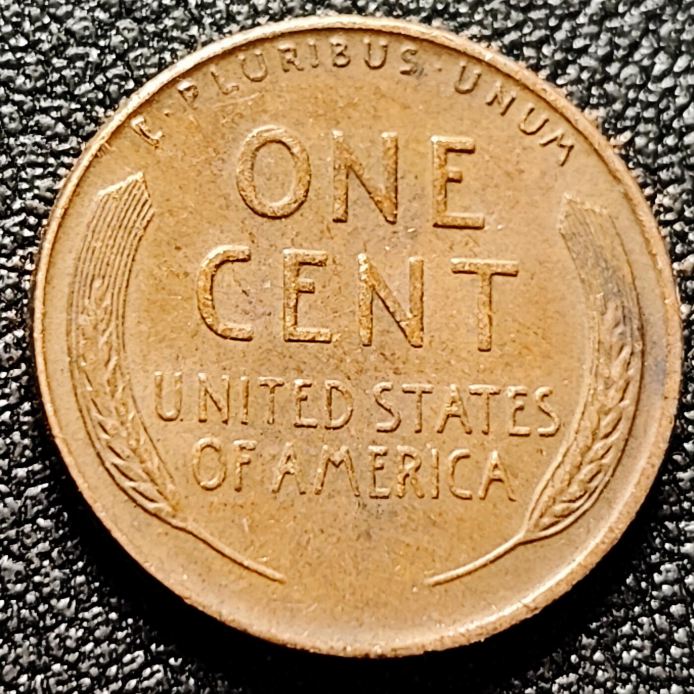 泉币菌-第171场- 精品福利场 。