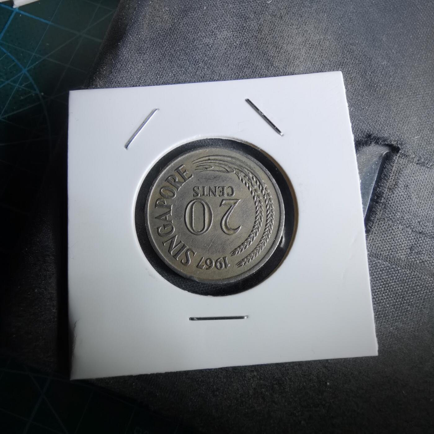 沼泽如烟--第965场