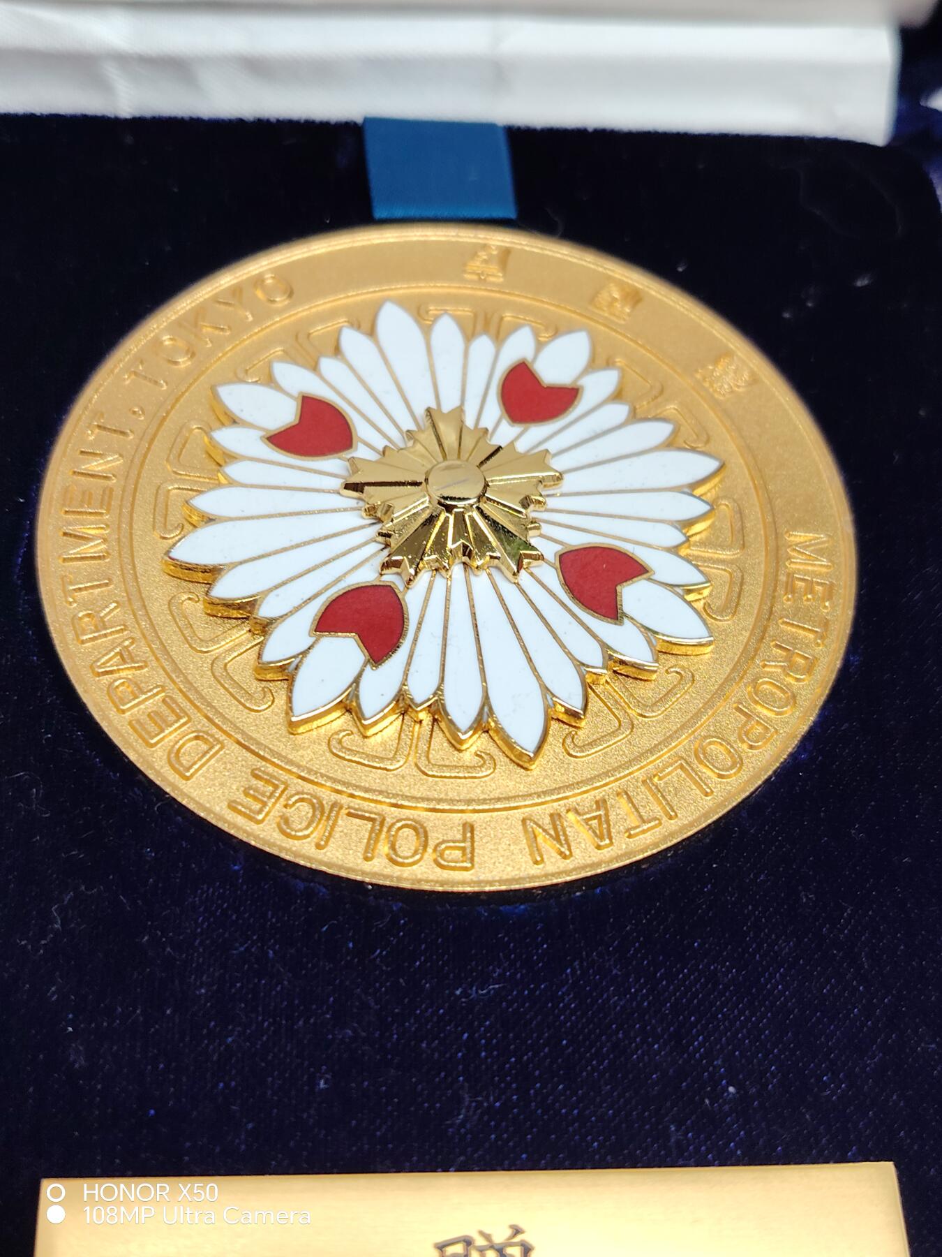 城南花开💐85场