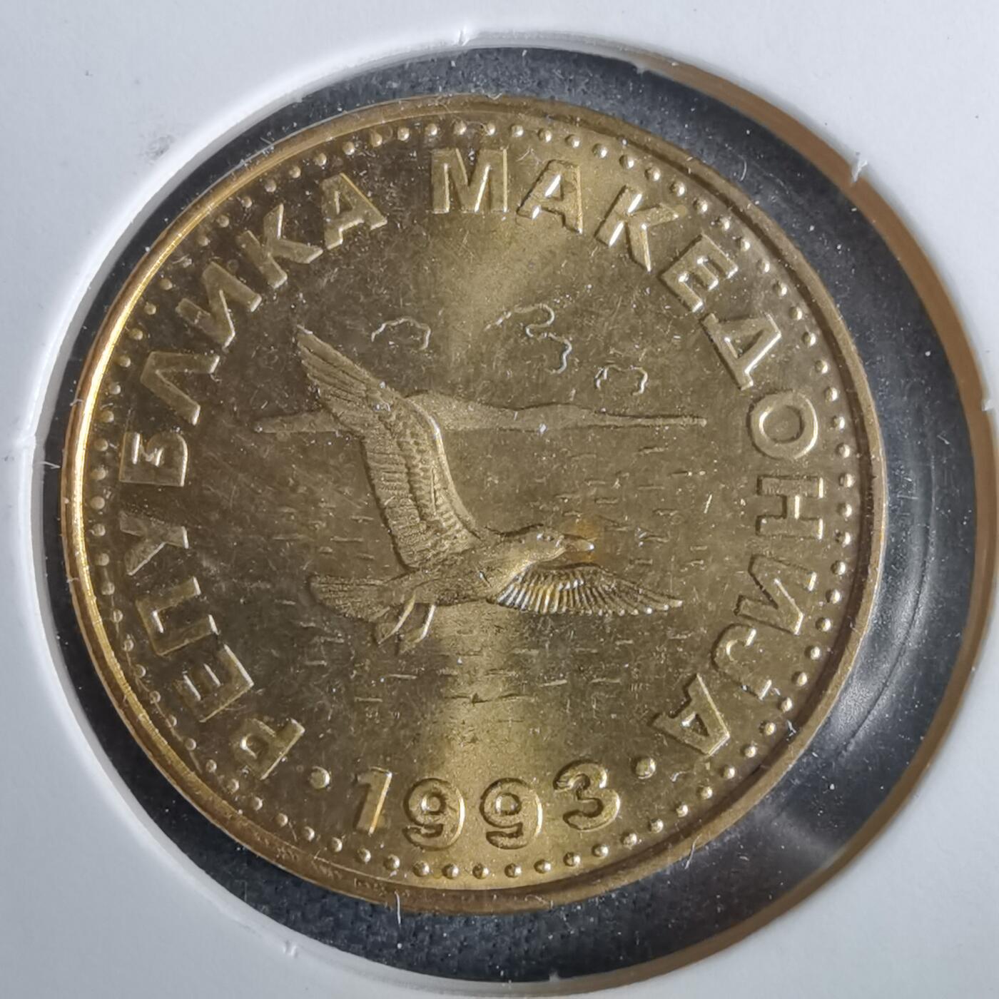 沼泽如烟--第963场