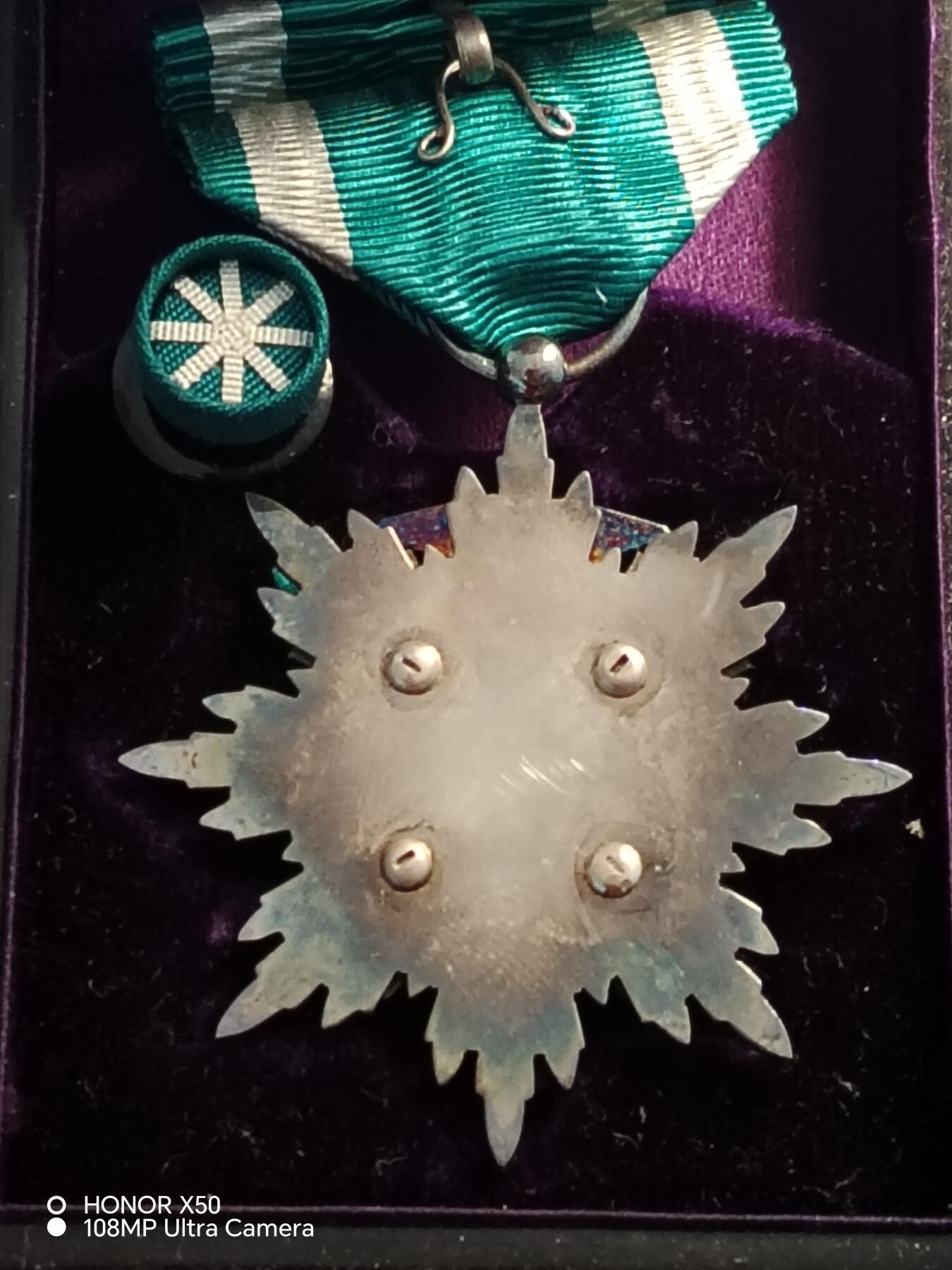 城南花开💐85场