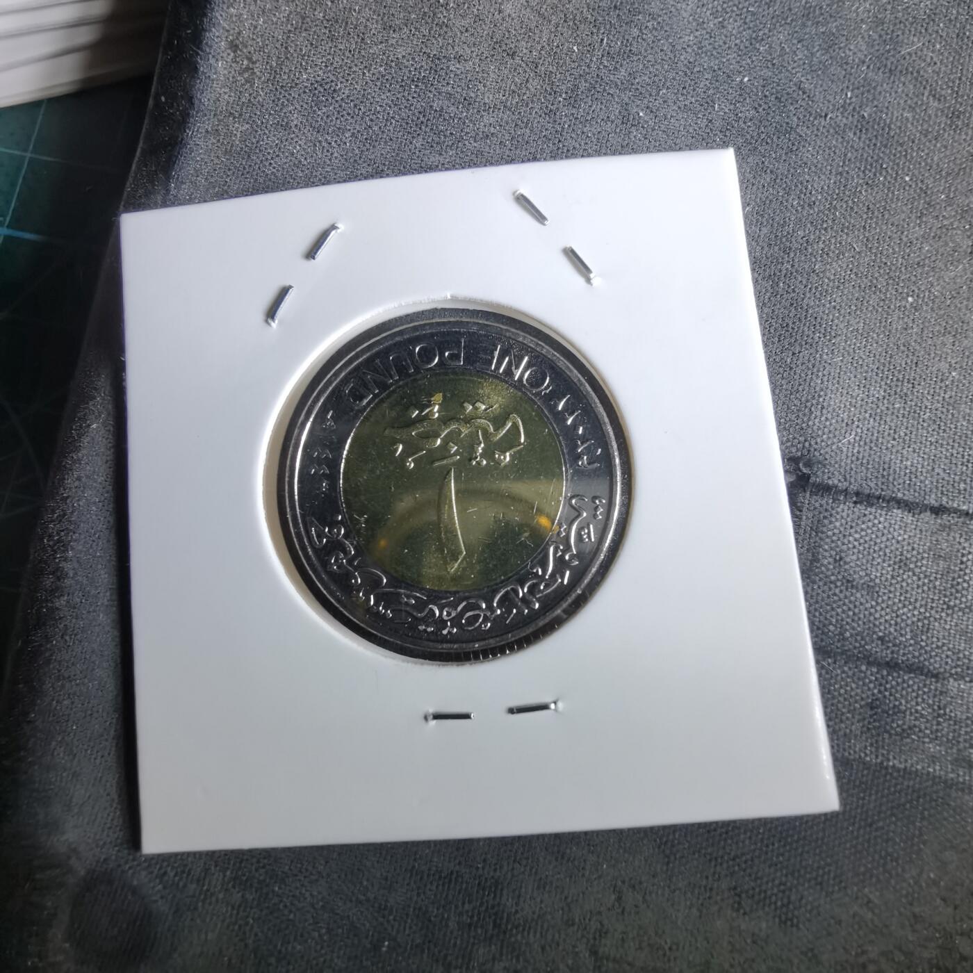 沼泽如烟--第965场 埃及