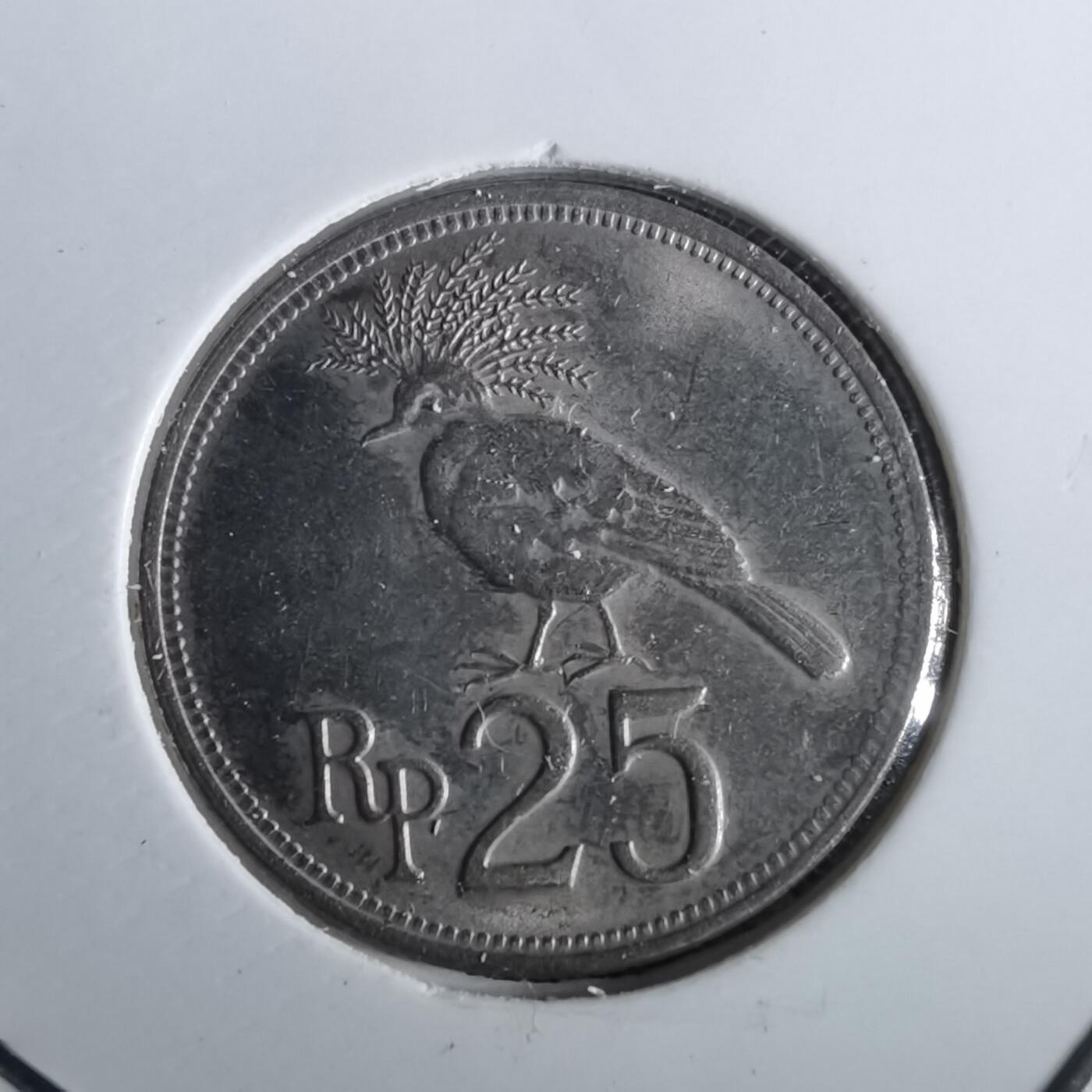 沼泽如烟--第965场