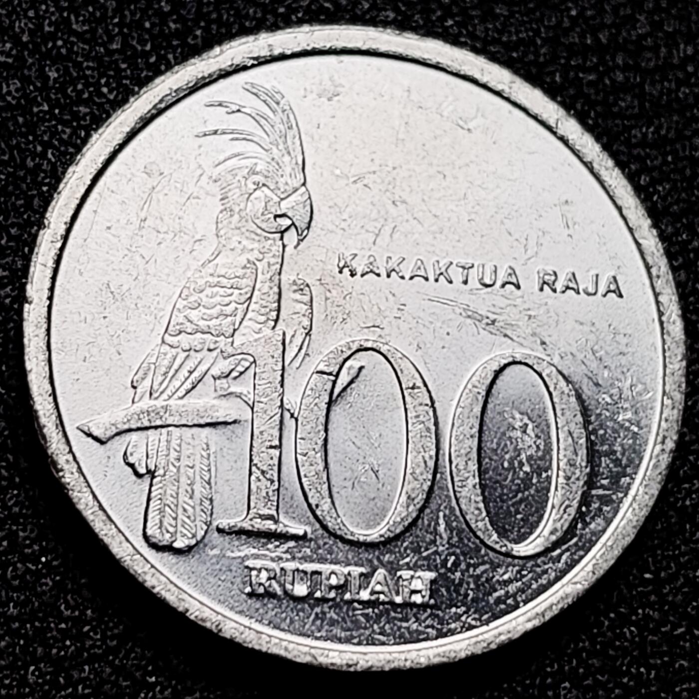 泉币菌-第171场- 精品福利场 。