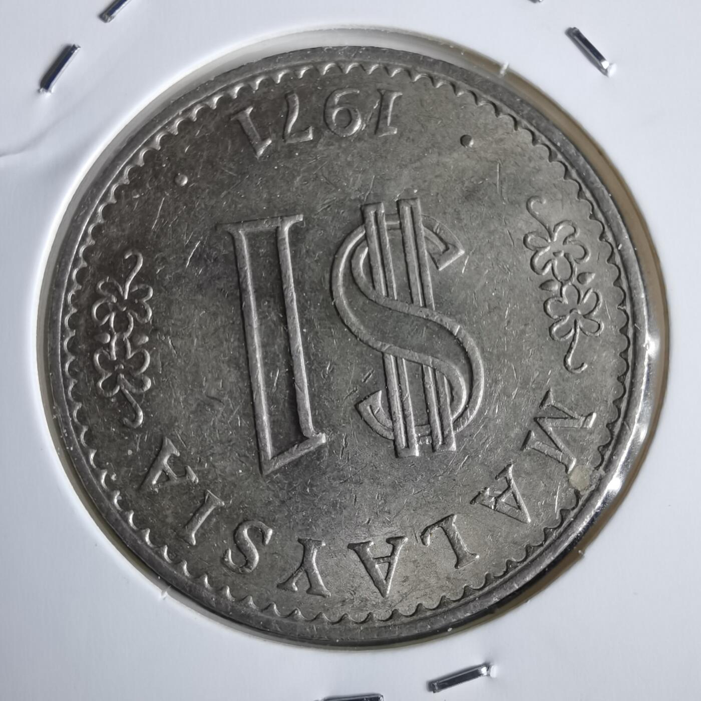 沼泽如烟--第963场