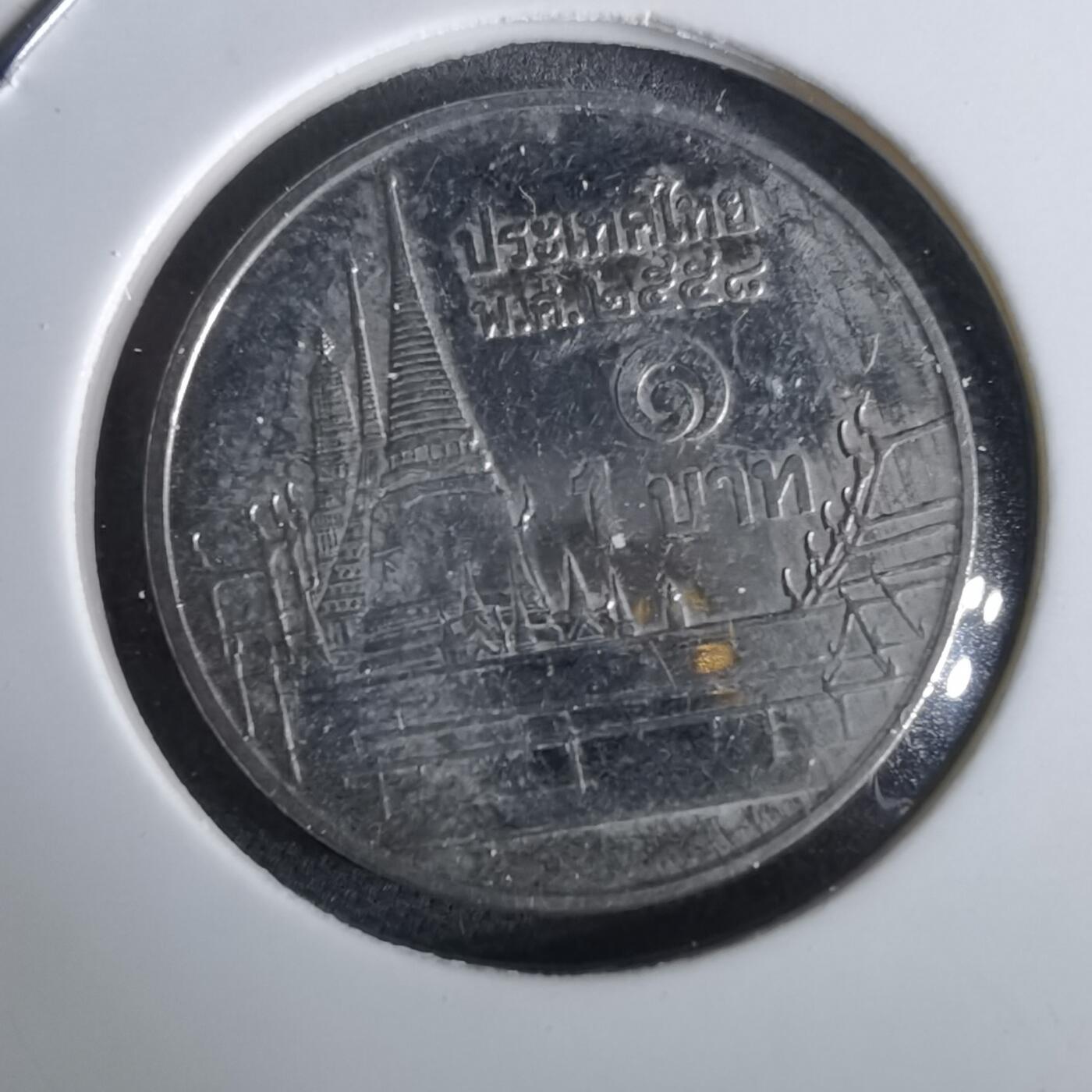 沼泽如烟--第965场 泰国