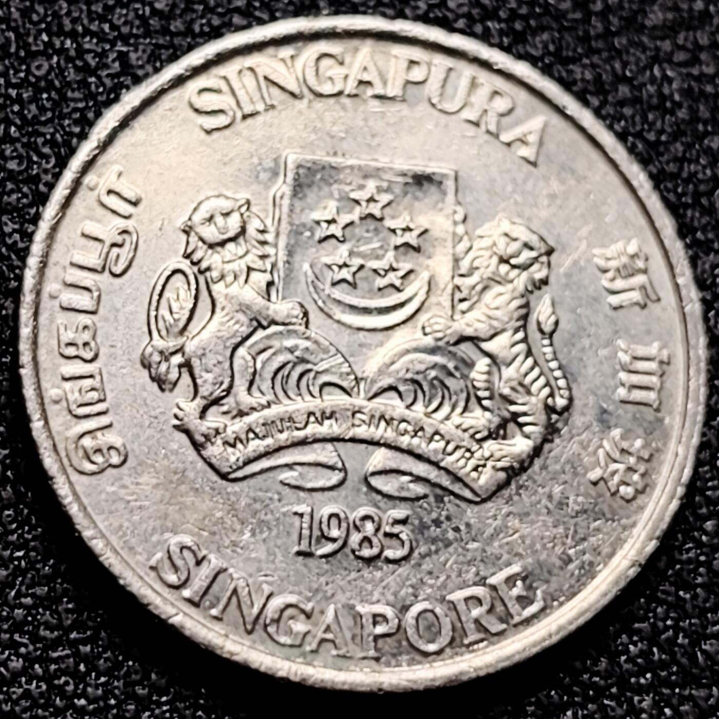 泉币菌-第171场- 精品福利场 。