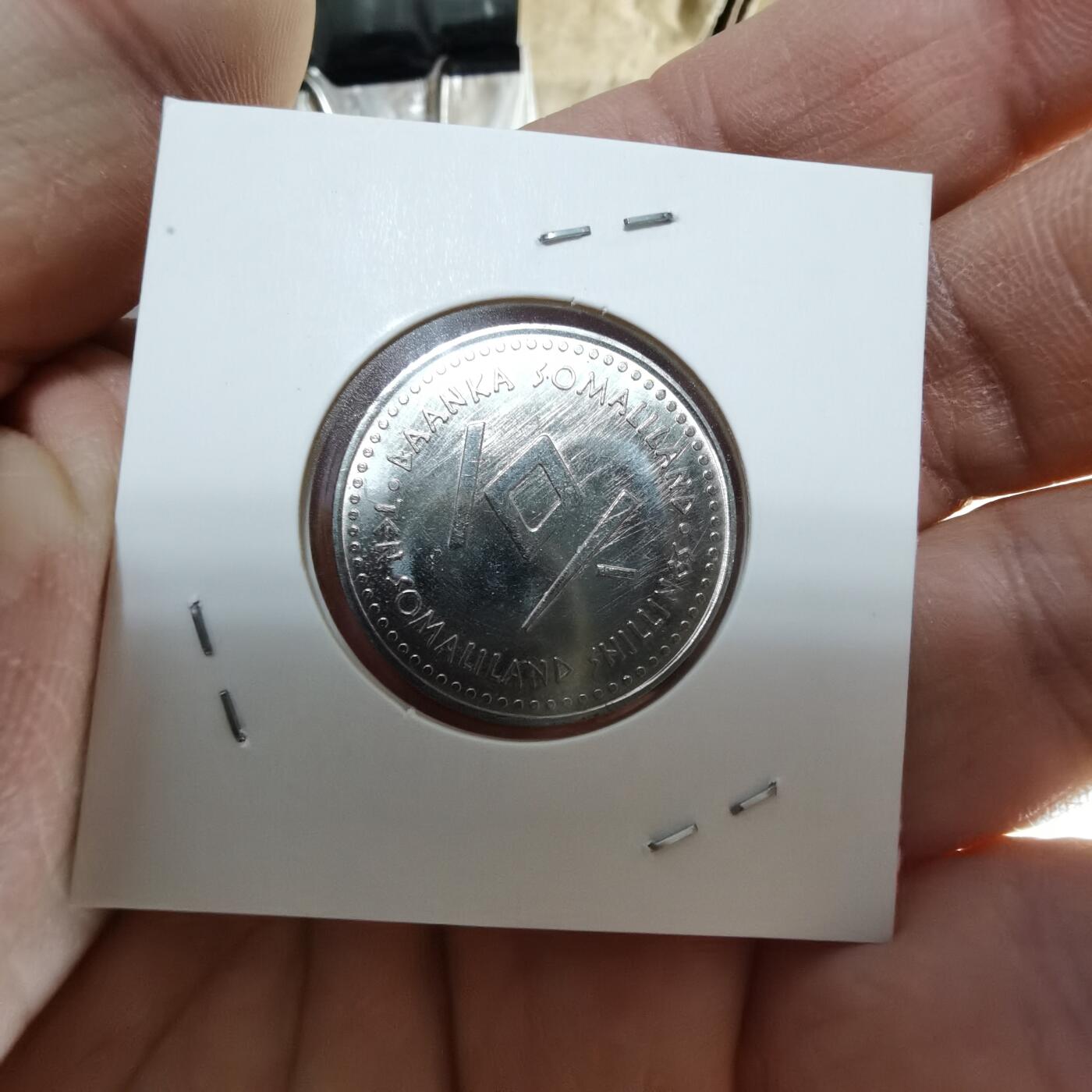 沼泽如烟--第963场