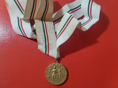 罗岚⭐爱藏⭐甄选专拍第四场-分享拍场赚佣（实体经营） - 匈牙利过渡时期1989军运会金级奖牌实发带年份和名字bacs mb 第二年匈牙利人民共和国垮台 绶带和奖章品相很好 少见时期