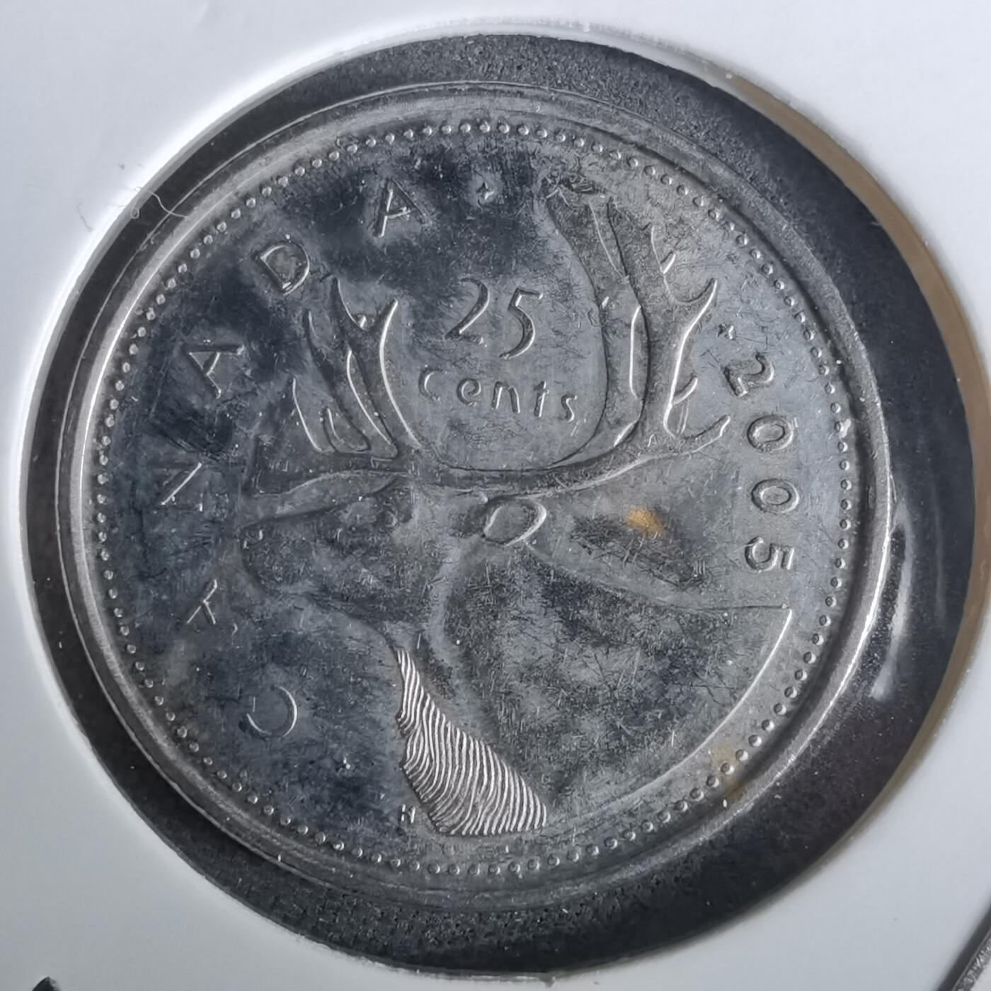 沼泽如烟--第965场