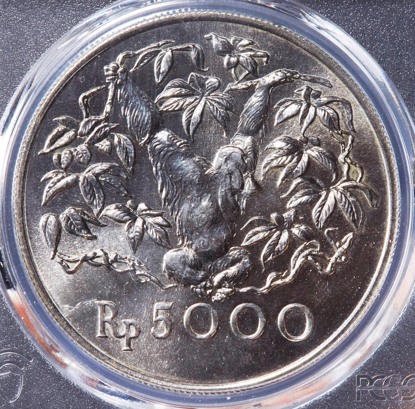 【俄甄集藏】“万象更新、马呈祥瑞”迎新春俄甄精品场-2026年(047)01-21 星期三 晚 19:30 全场包邮 印度尼西亚1974年野生动物保护-长臂猿5000卢比大银币，PCGS MS67，重32克，50%银，发行量43000枚