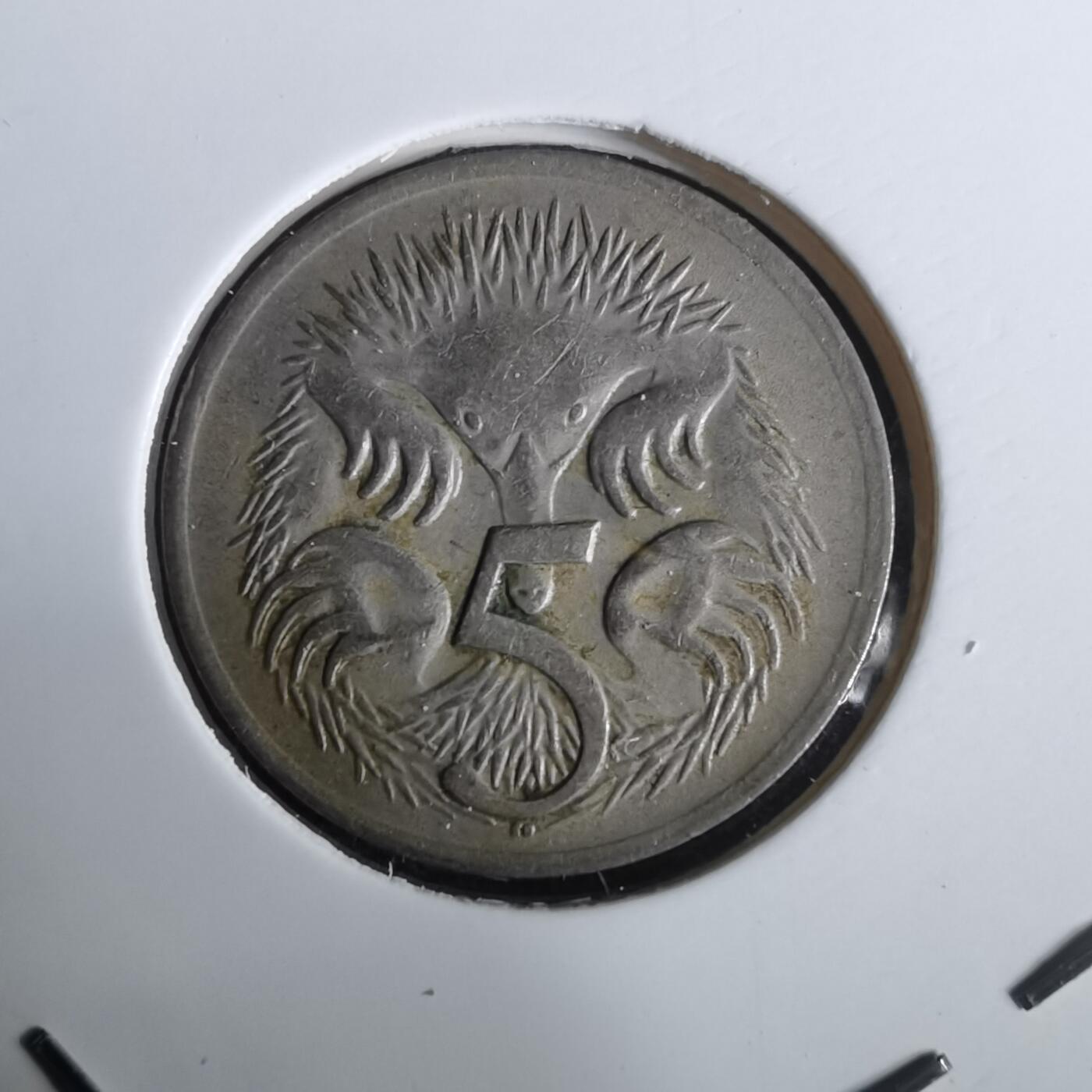 沼泽如烟--第965场