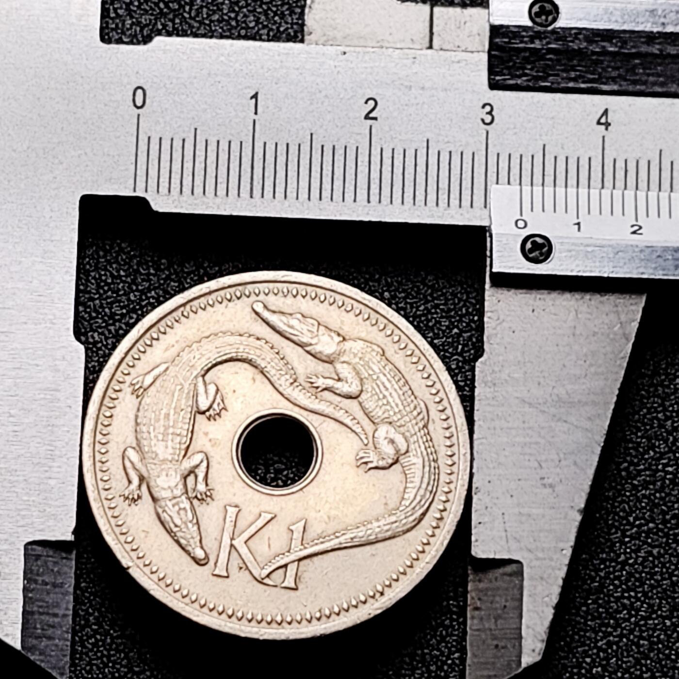 泉币菌-第171场- 精品福利场 。