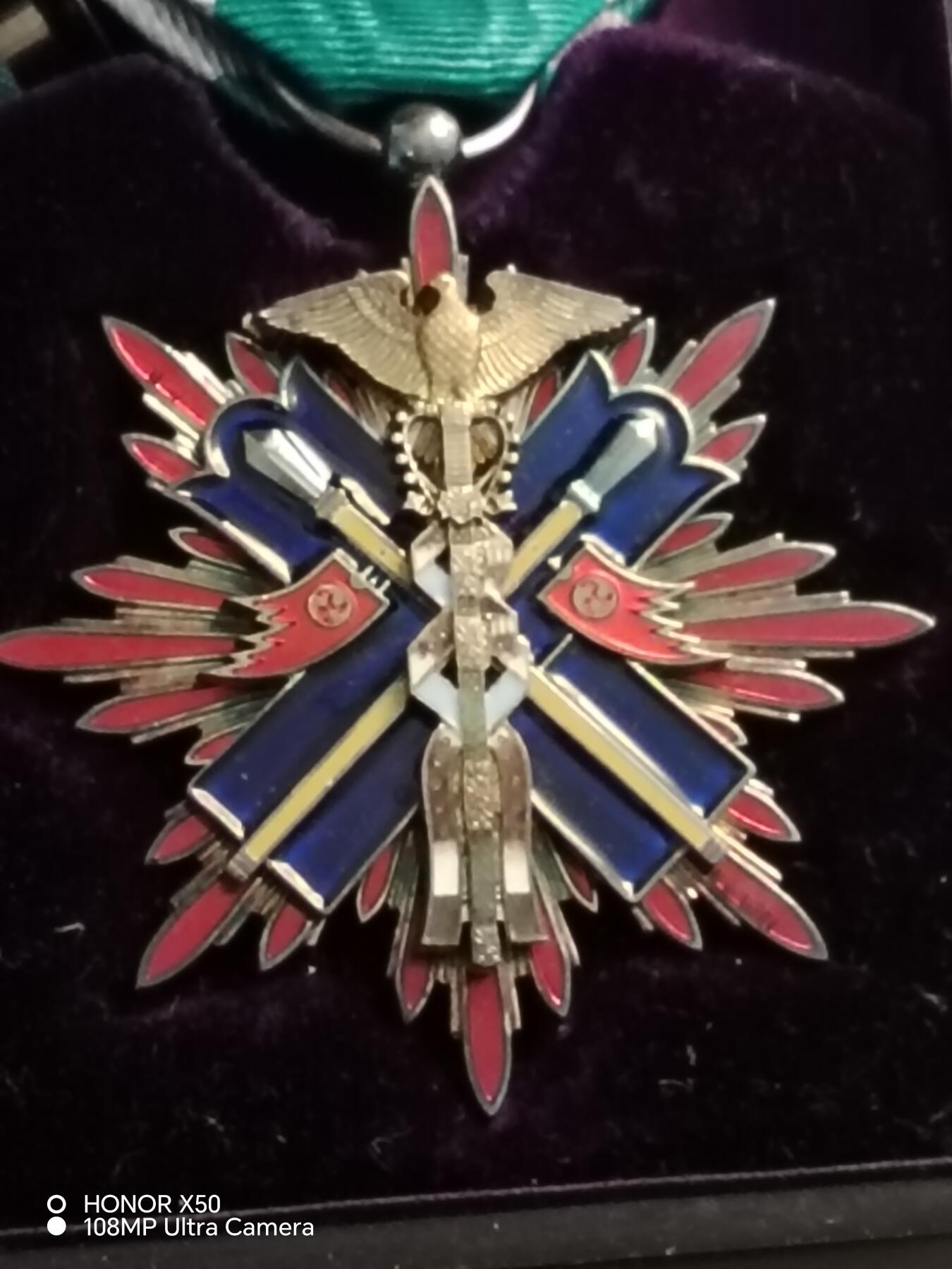 城南花开💐85场