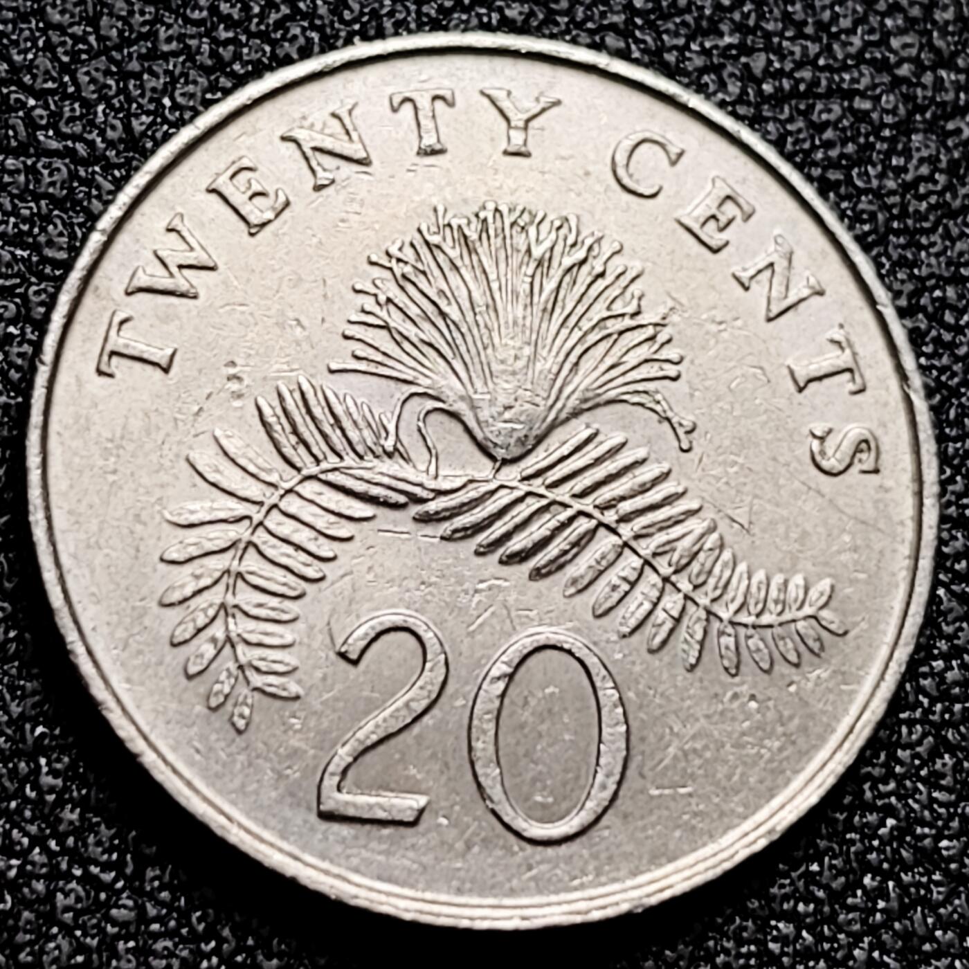 泉币菌-第171场- 精品福利场 。