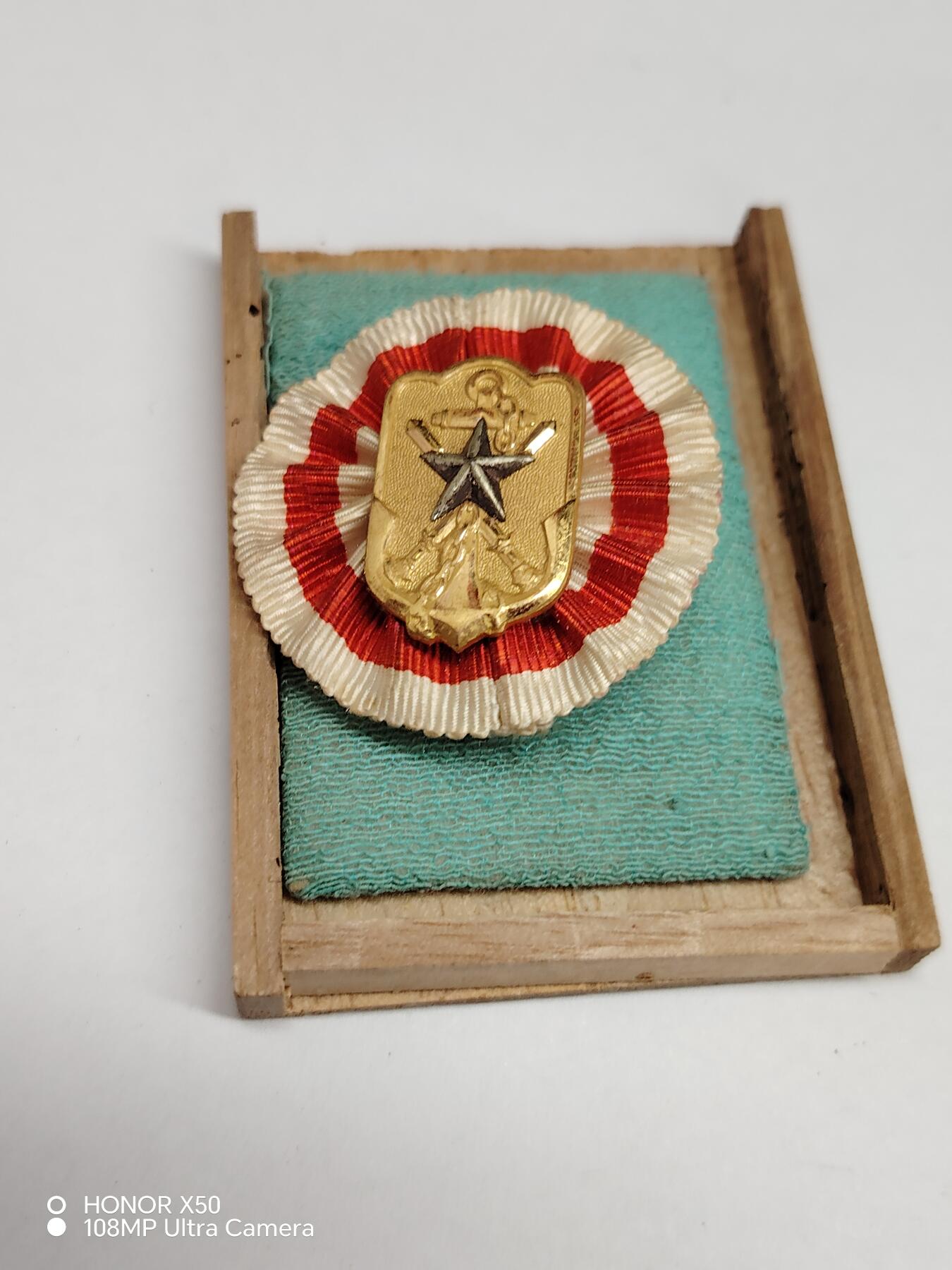 城南花开💐85场