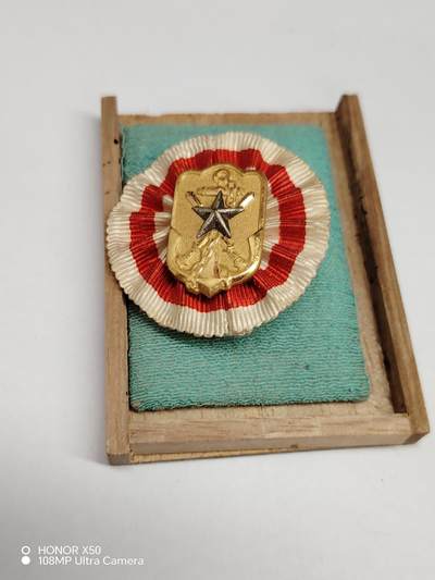 城南花开💐85场 - 在乡荣誉章