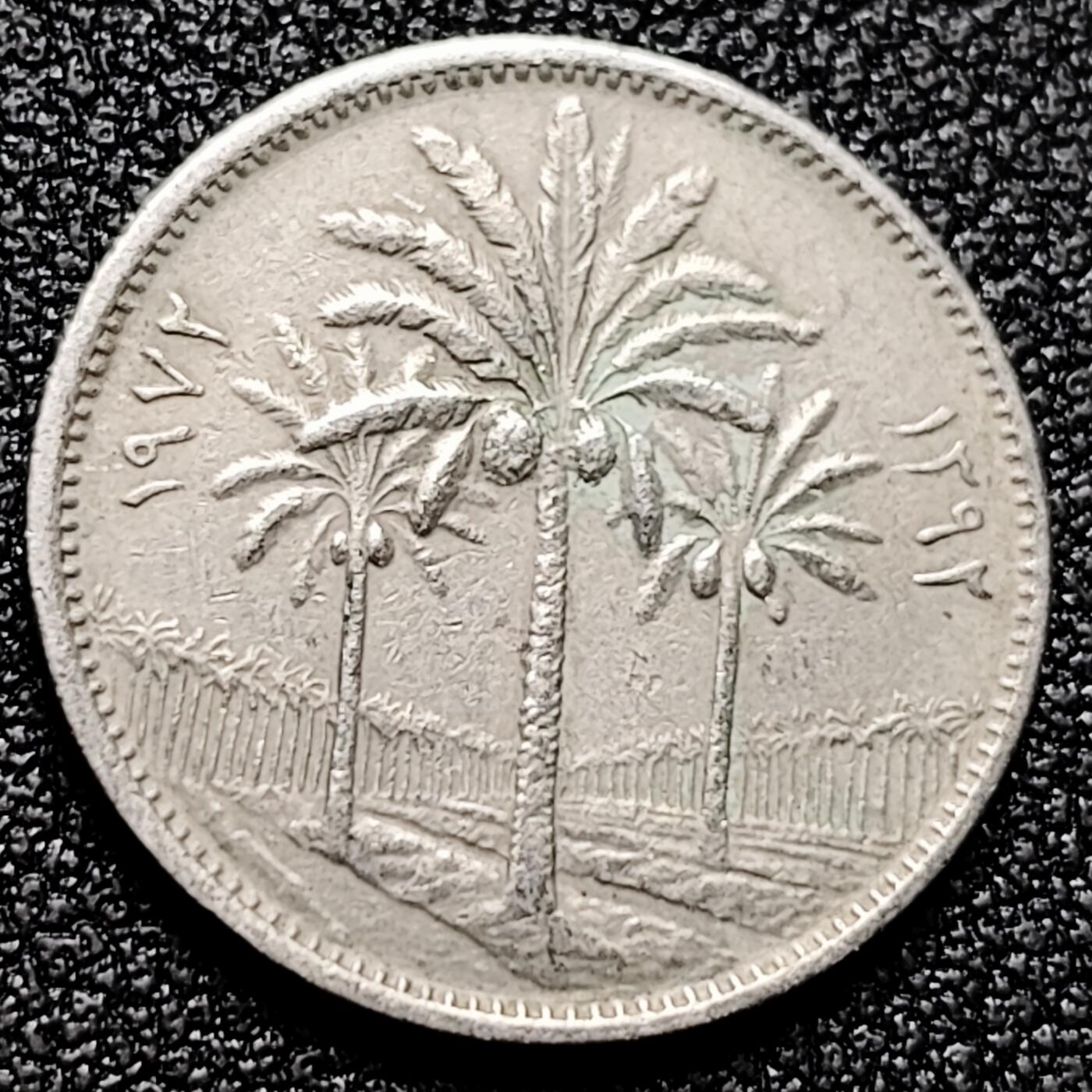 泉币菌-第171场- 精品福利场 。