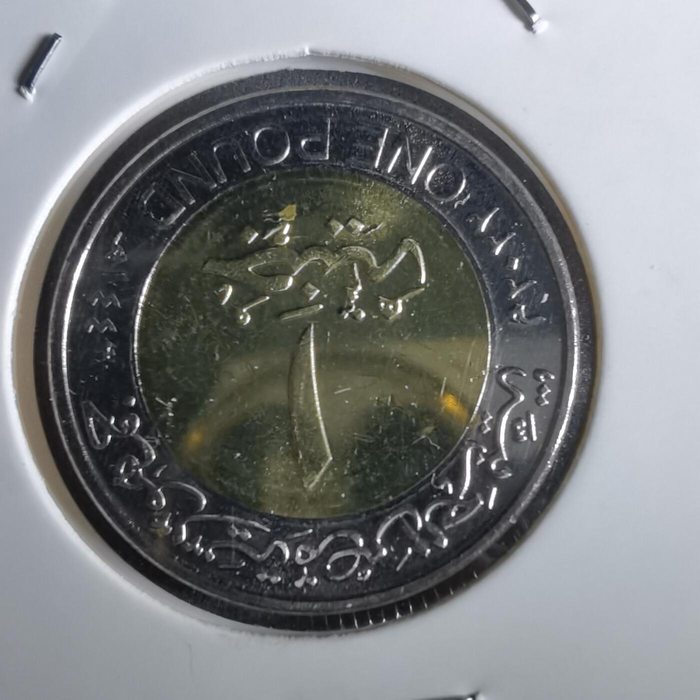 沼泽如烟--第965场 埃及