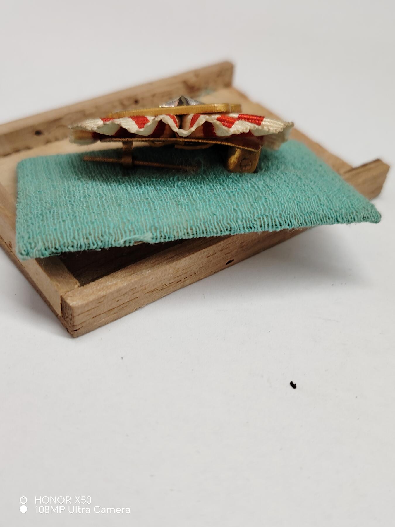 城南花开💐85场