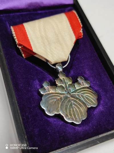 城南花开💐85场 - 银叶子带盒