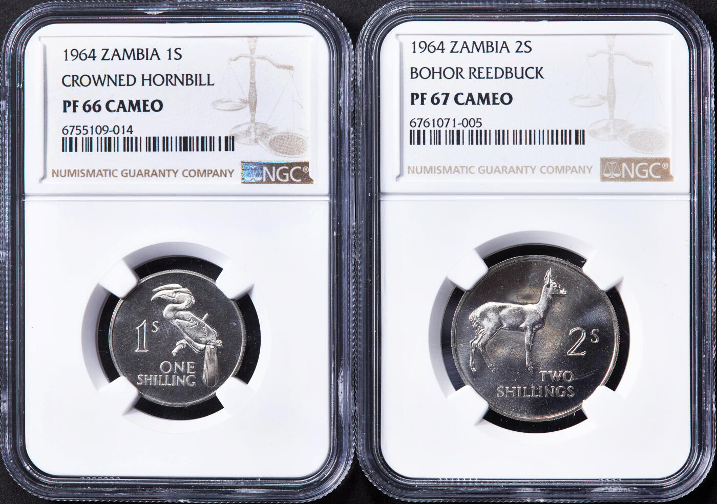 【俄甄集藏】“万象更新、马呈祥瑞”迎新春俄甄精品场-2026年(047)01-21 星期三 晚 19:30 全场包邮 赞比亚1964年动物国徽版精制1、2先令镍币2枚一组，NGC PF66/67 CAMEO，精制稀有，发行量5000枚