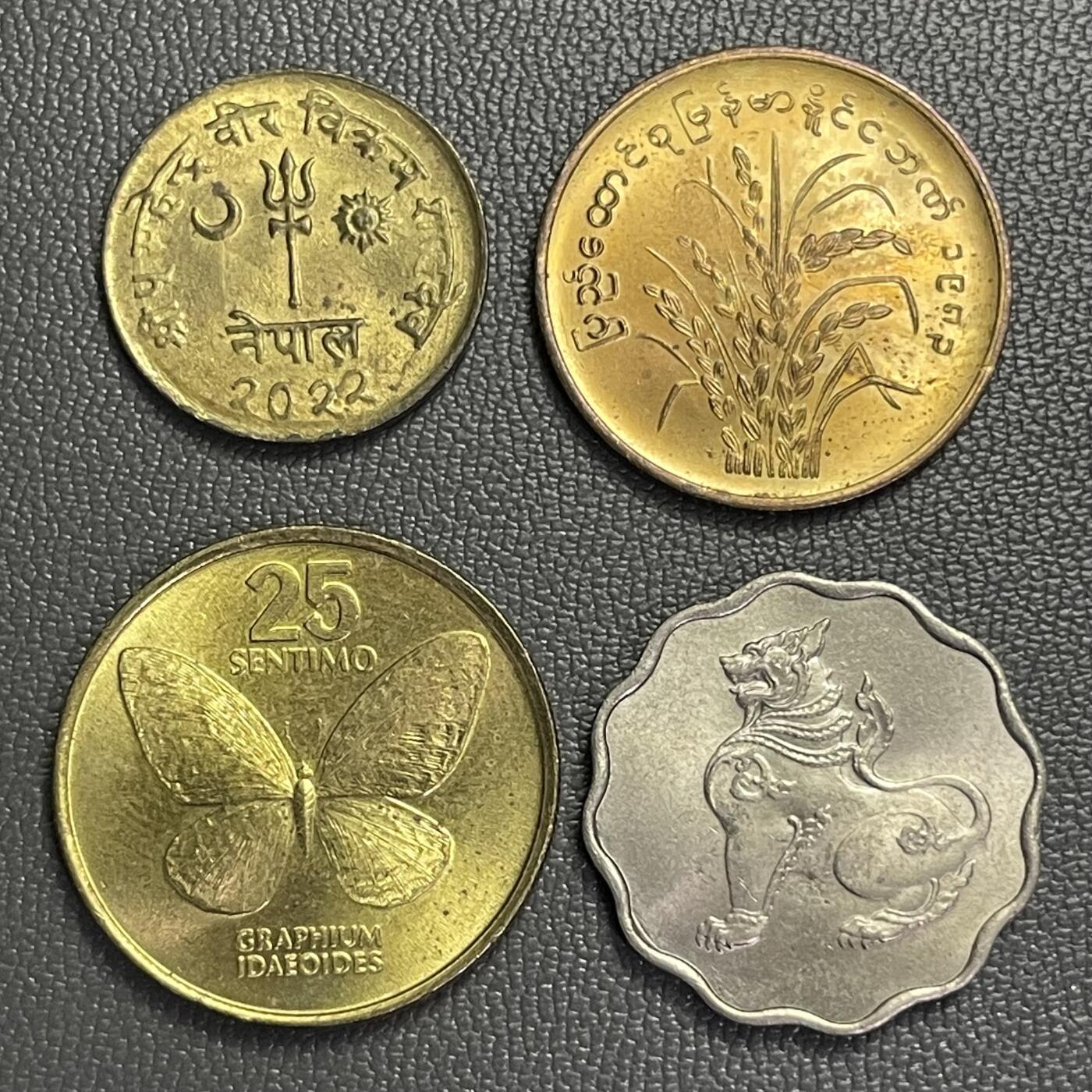 回流0120 四枚全新小可爱