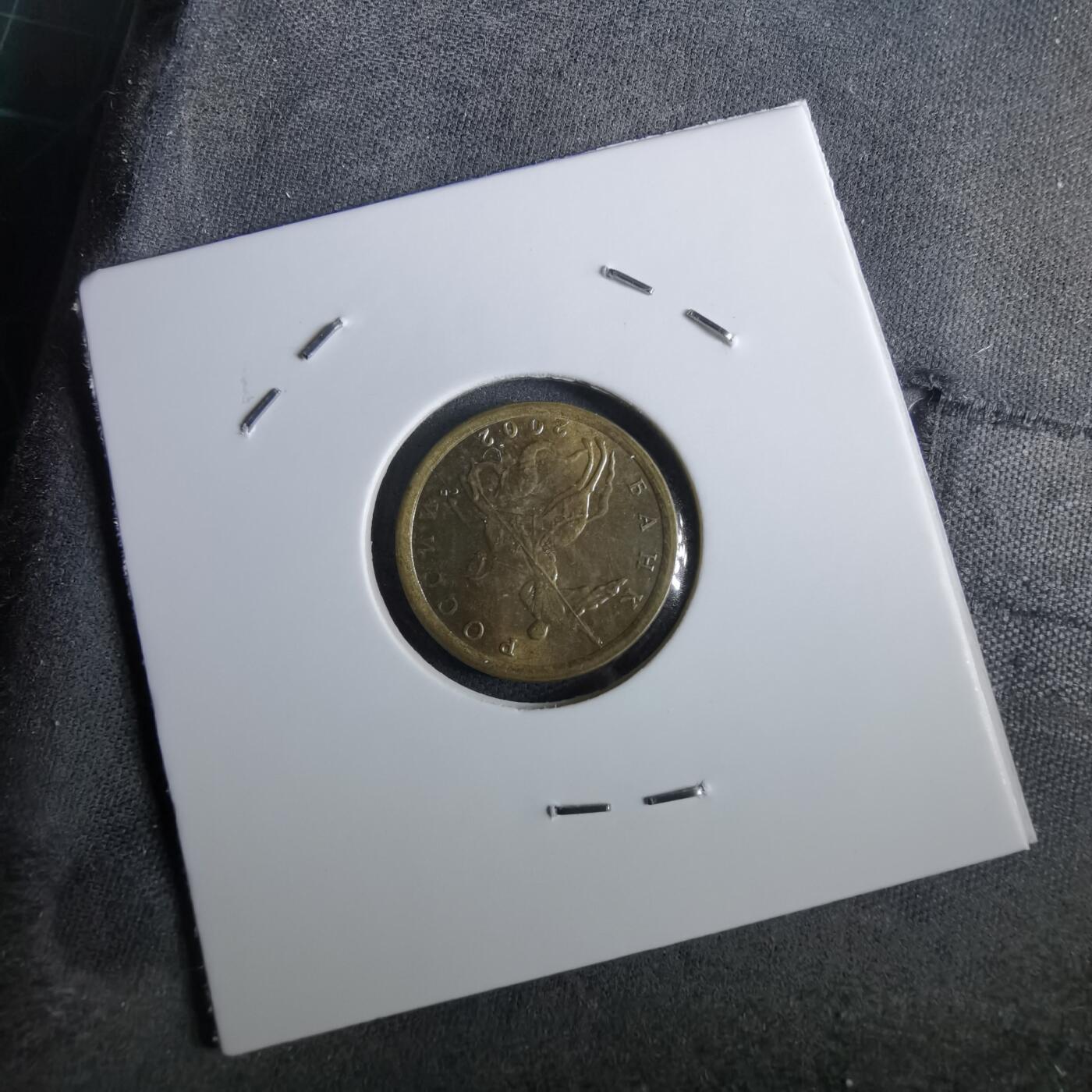 沼泽如烟--第965场