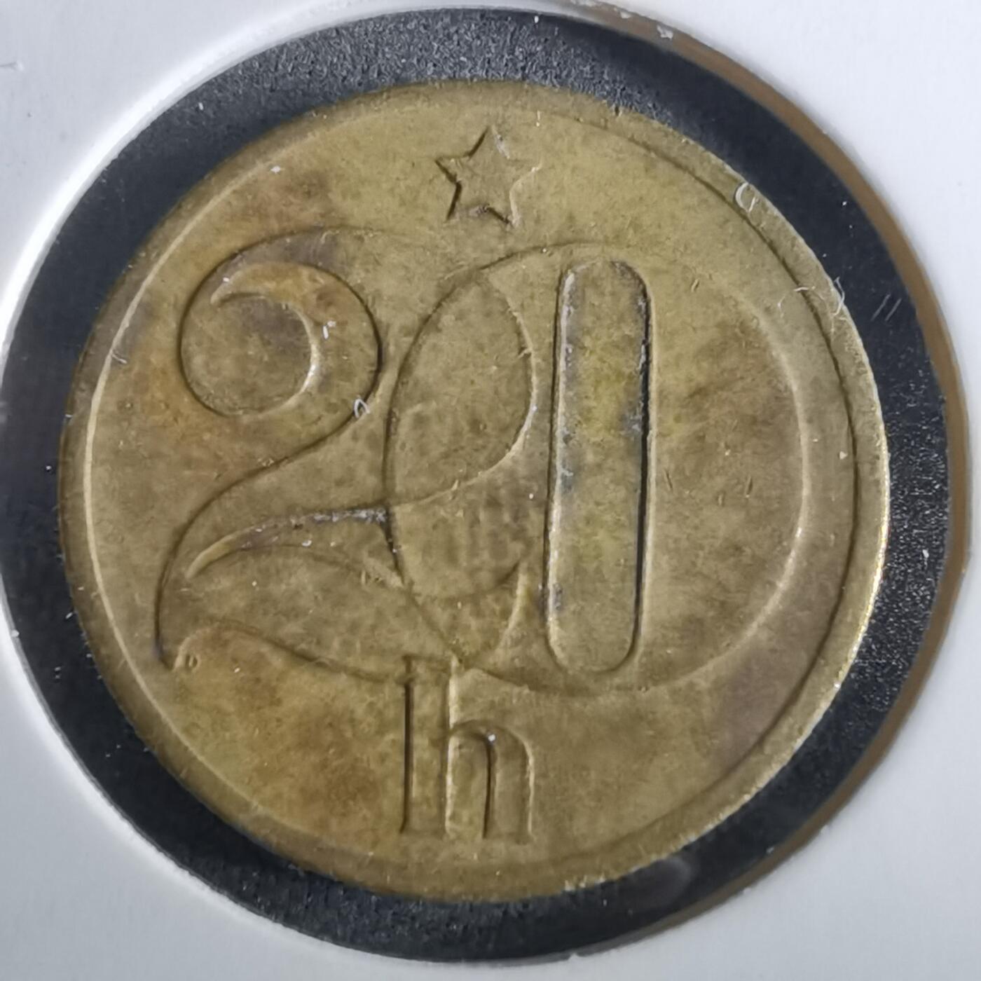 沼泽如烟--第965场