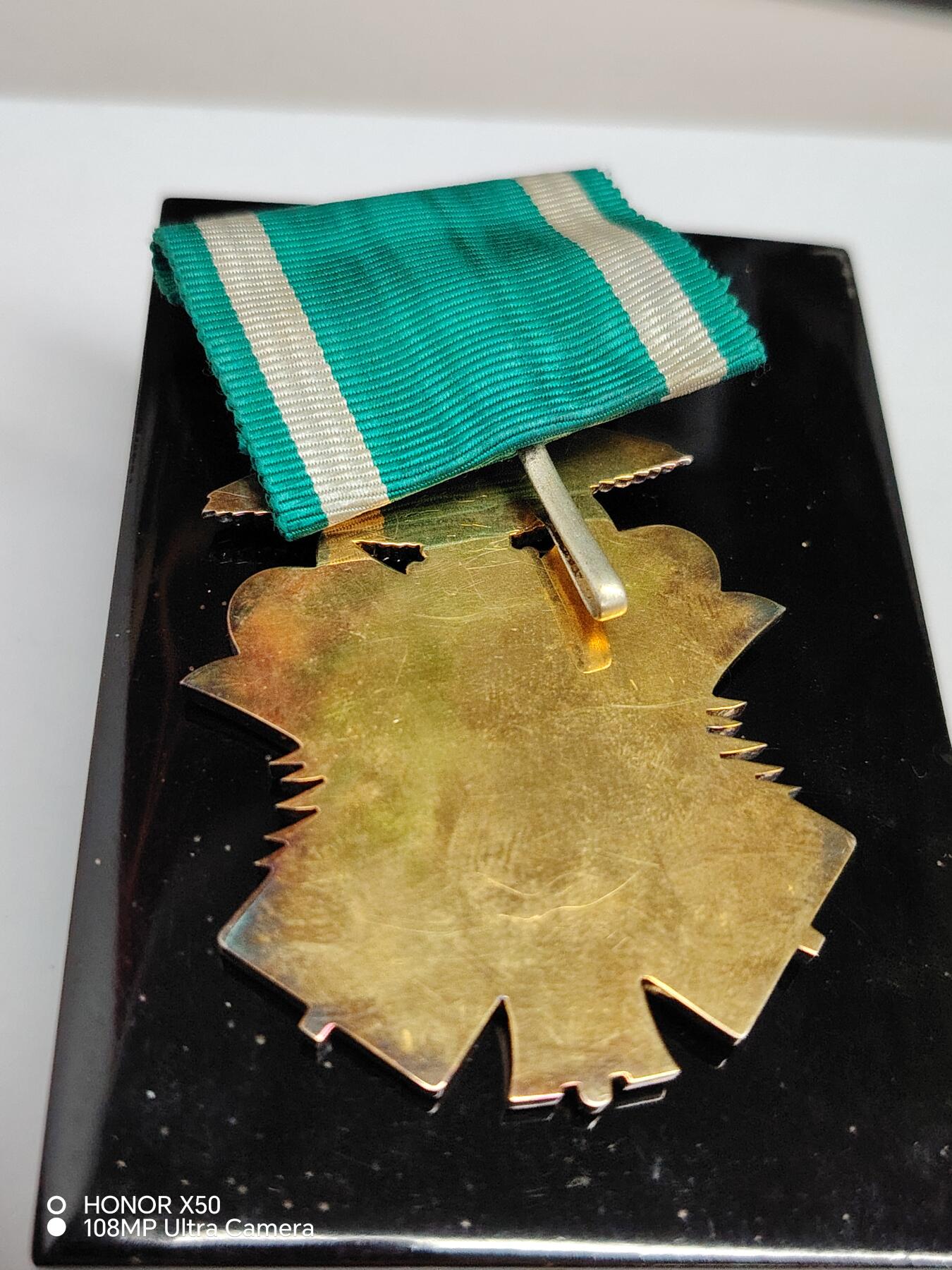 城南花开💐85场