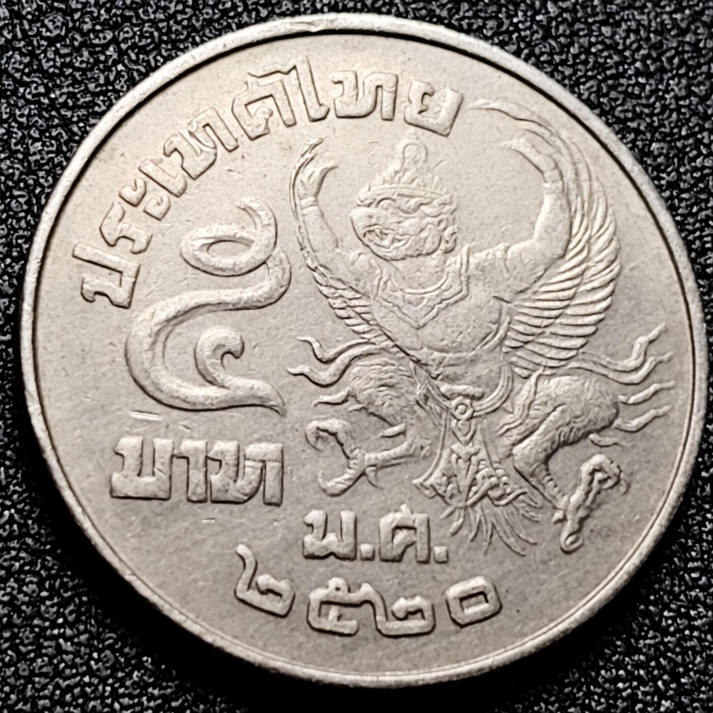 泉币菌-第171场- 精品福利场 。